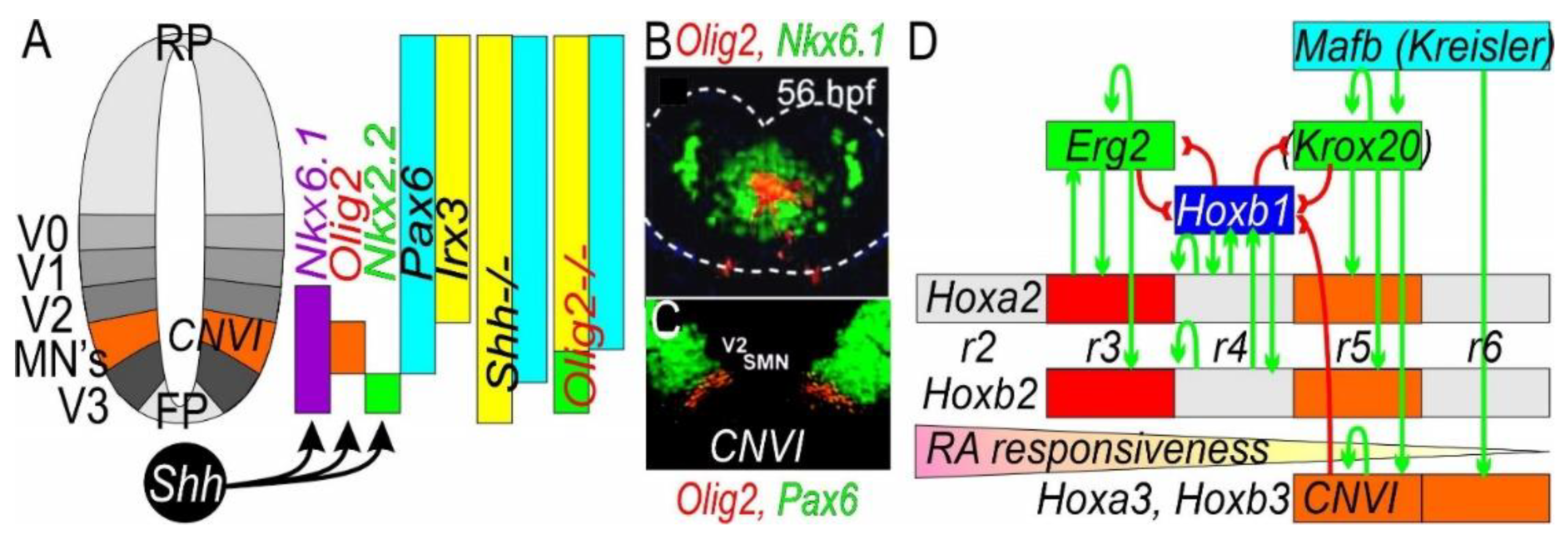 Preprints 75722 g005