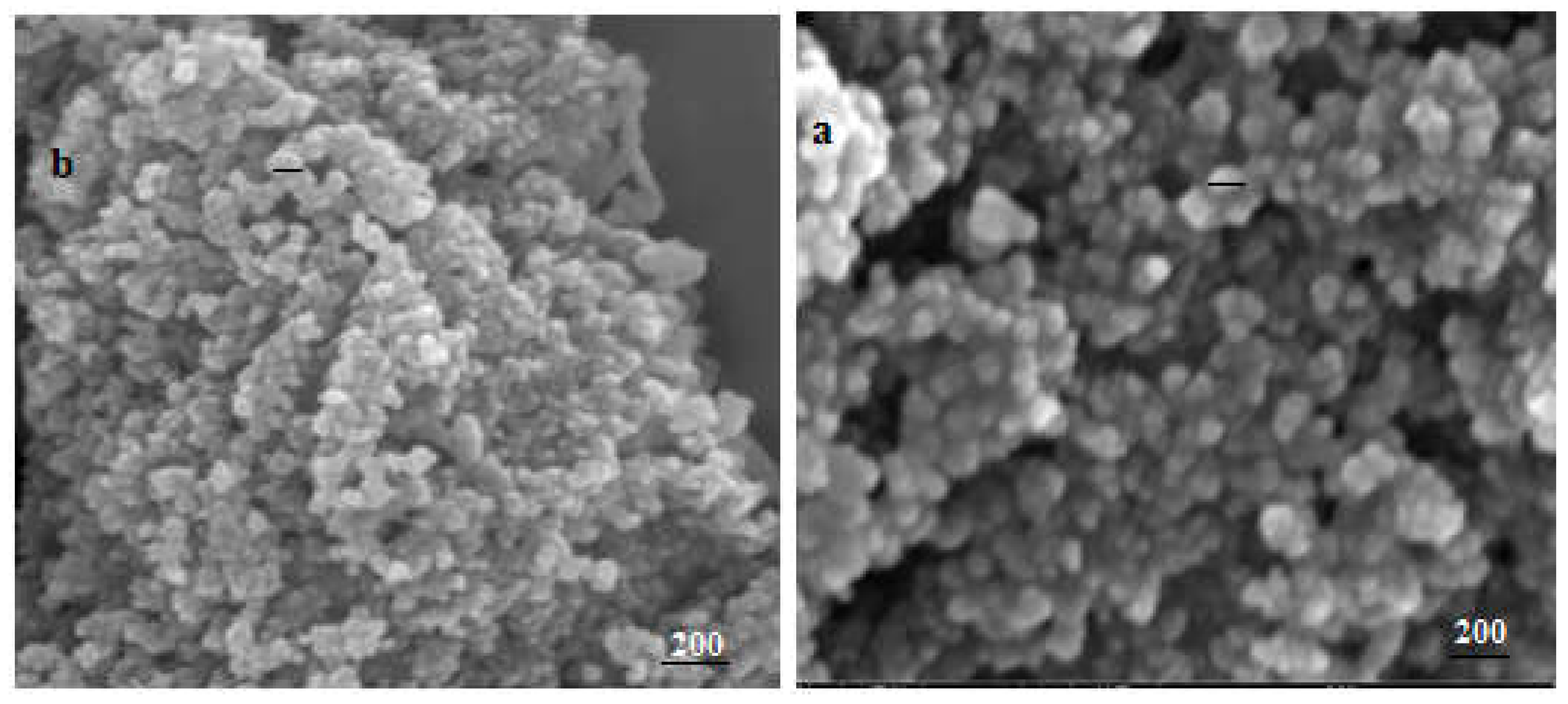 Preprints 109171 g004