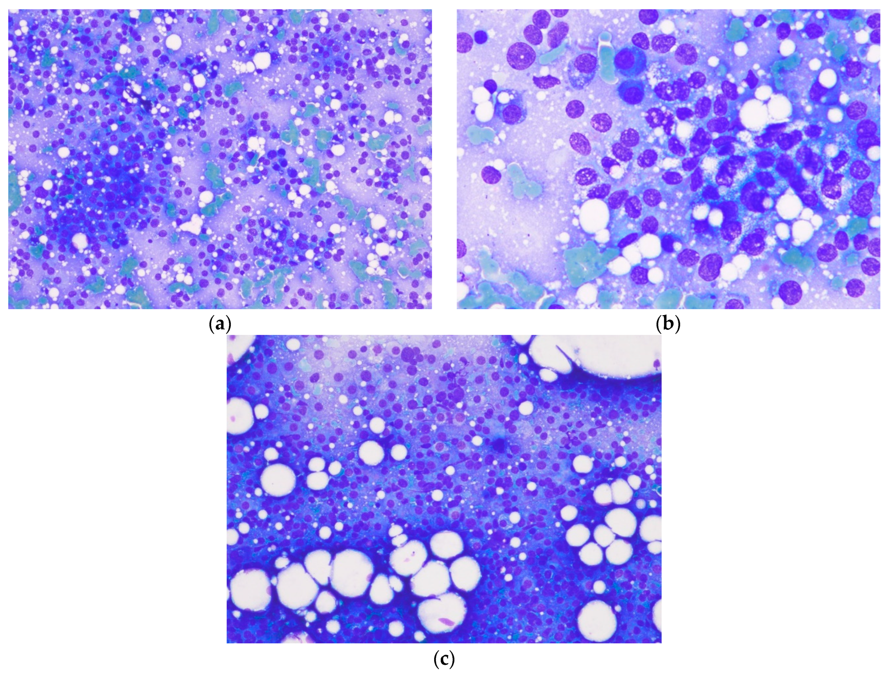 Preprints 114477 g003