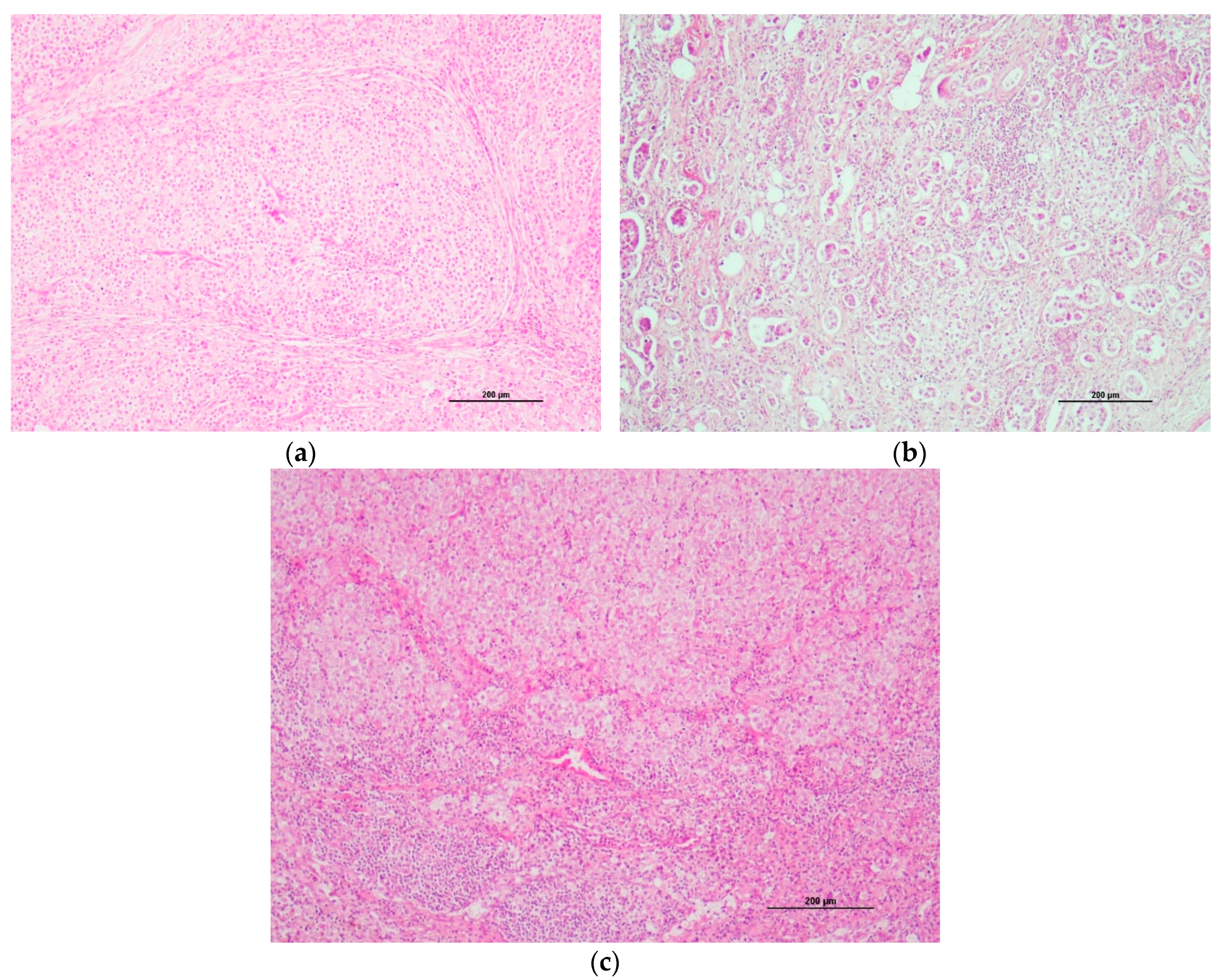 Preprints 114477 g005