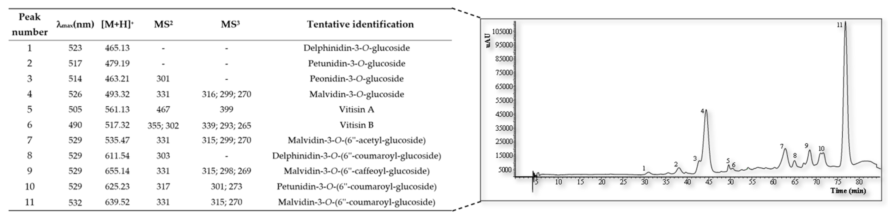 Preprints 102809 g001