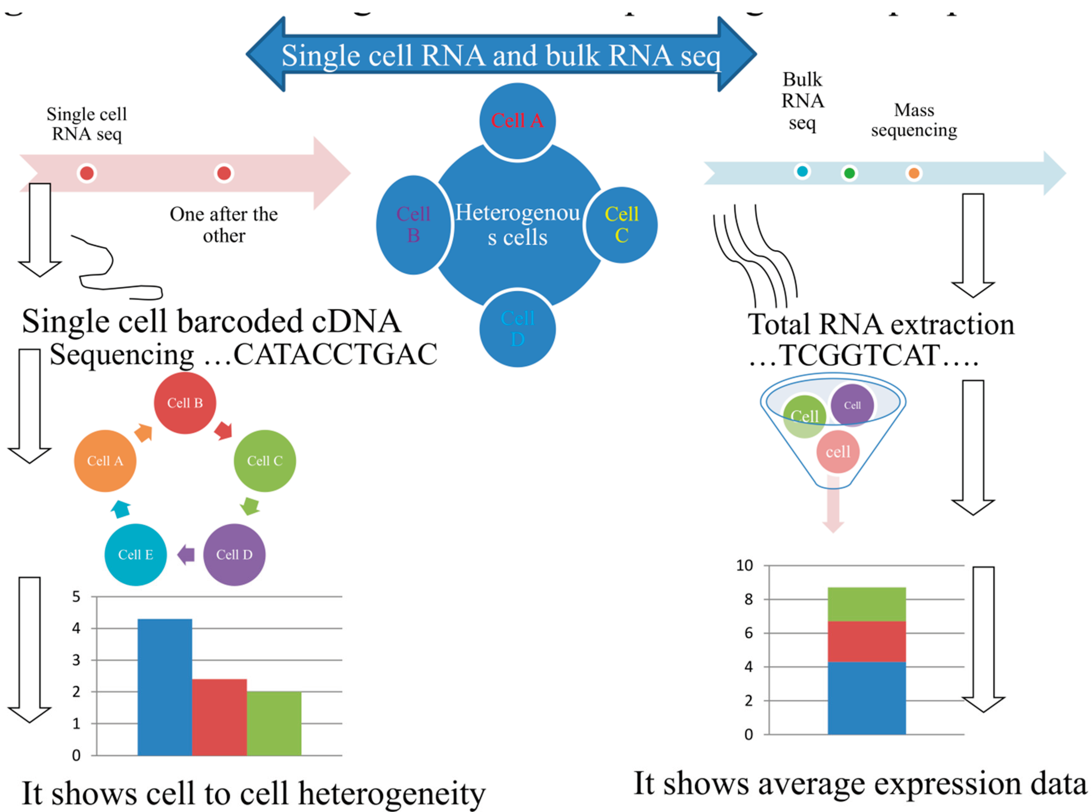 Preprints 99554 g001