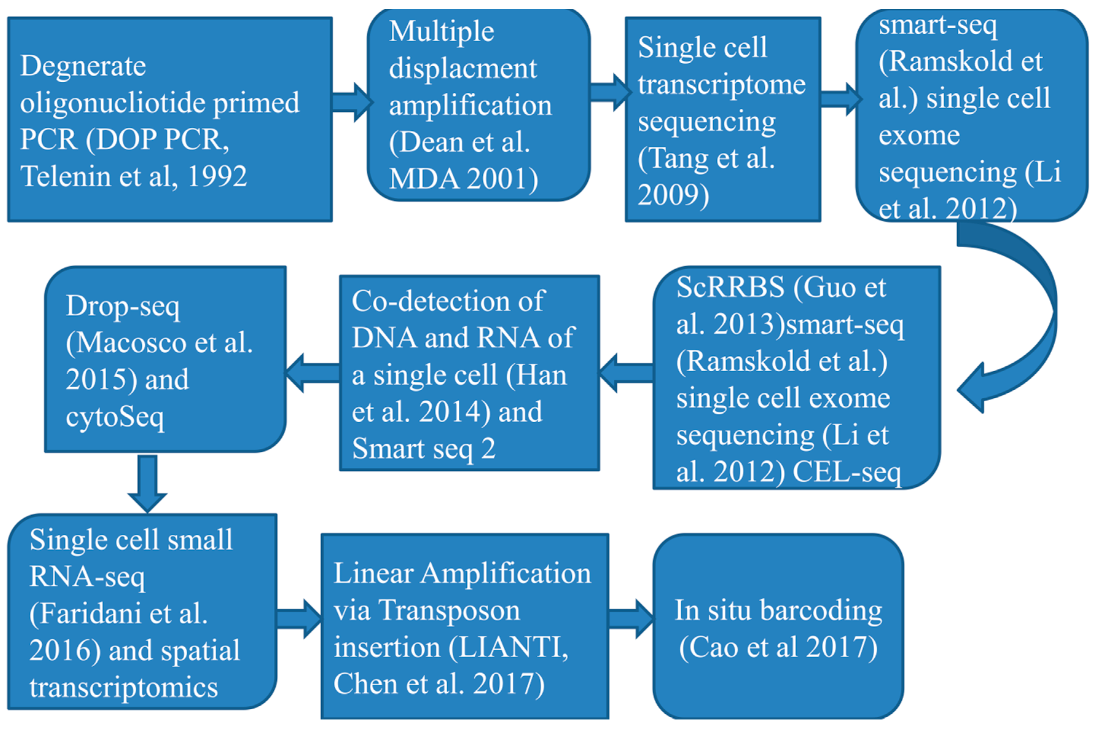 Preprints 99554 g002