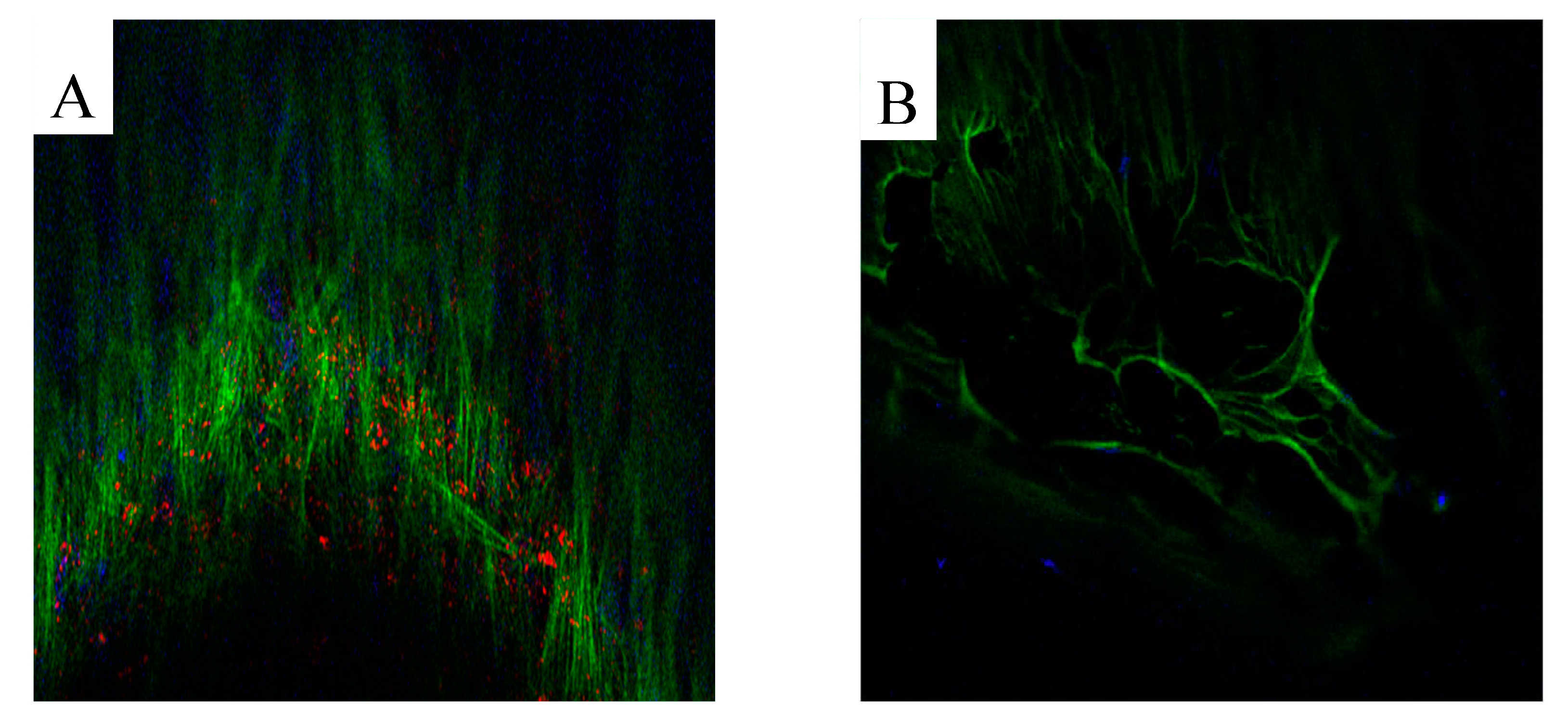 Preprints 83642 g004