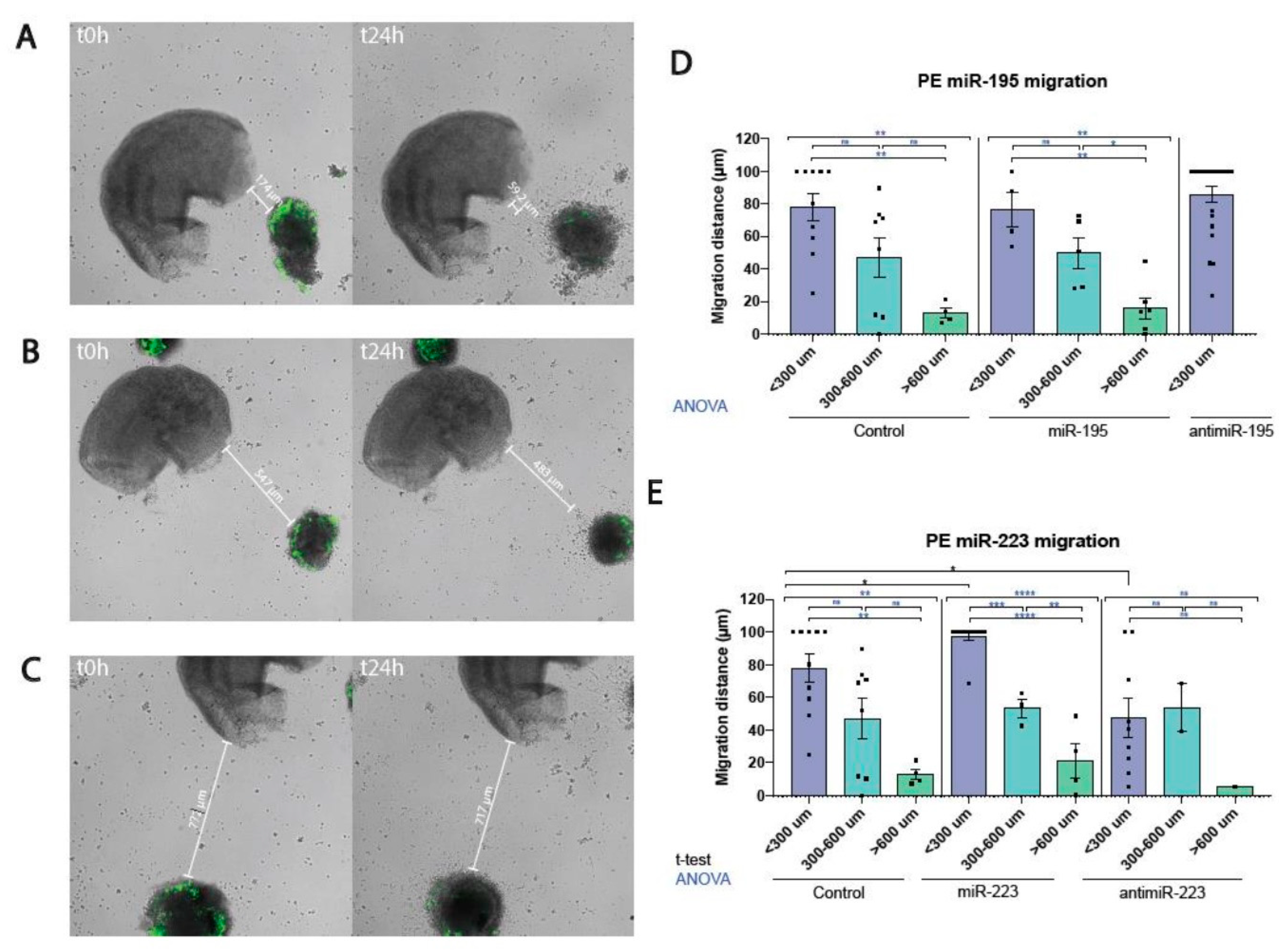 Preprints 96128 g001