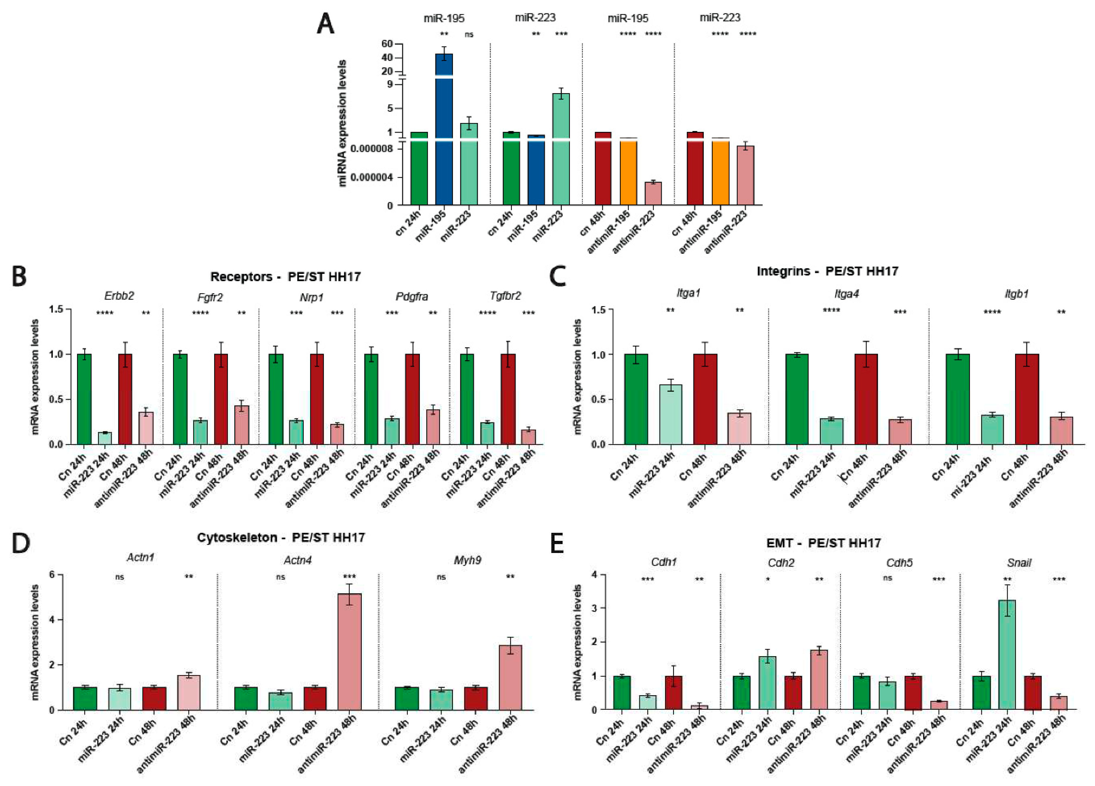 Preprints 96128 g002