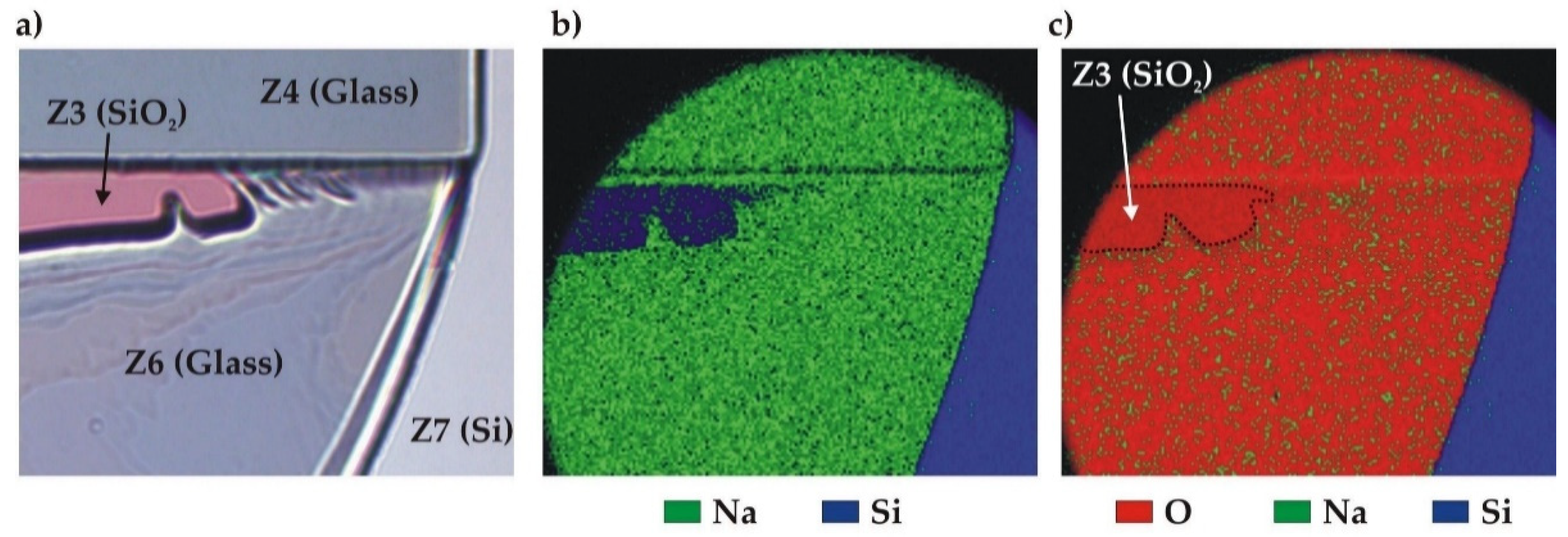 Preprints 71358 g014