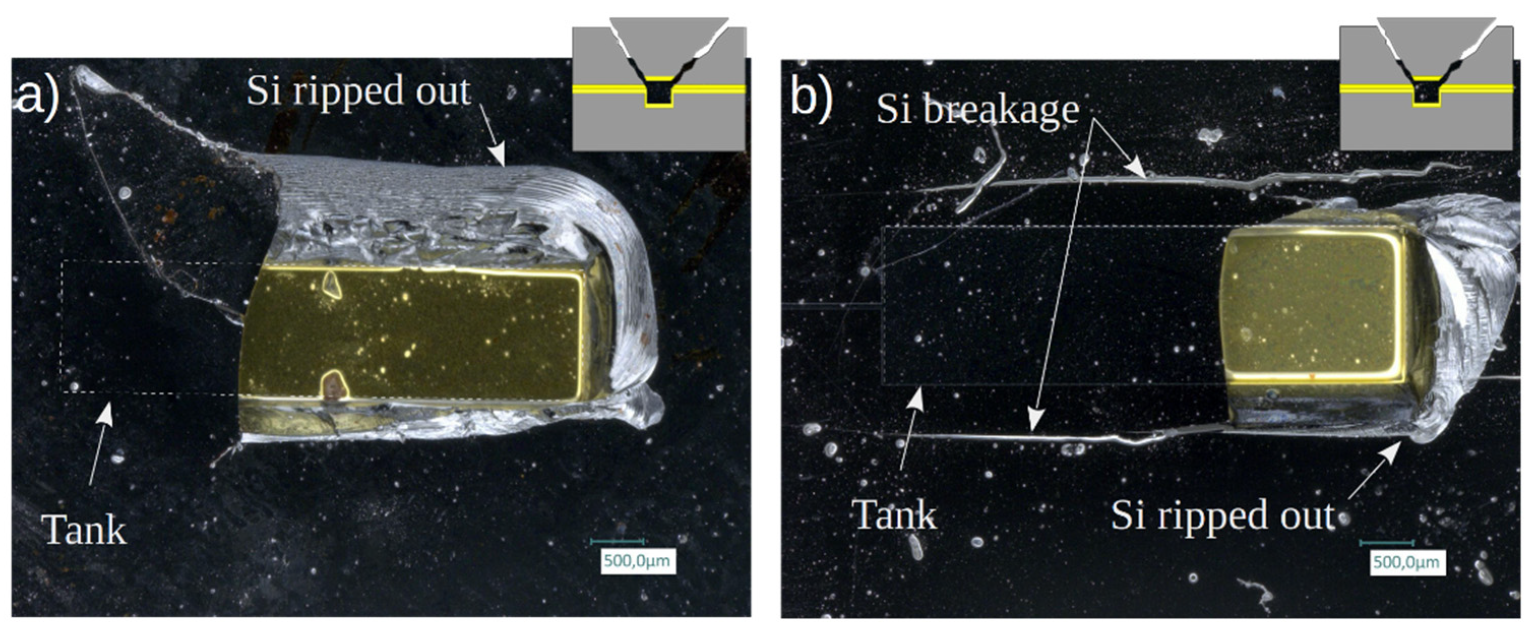 Preprints 71358 g018