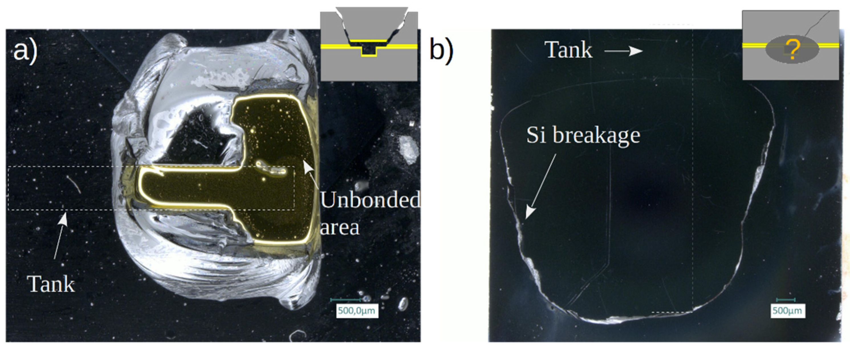 Preprints 71358 g019