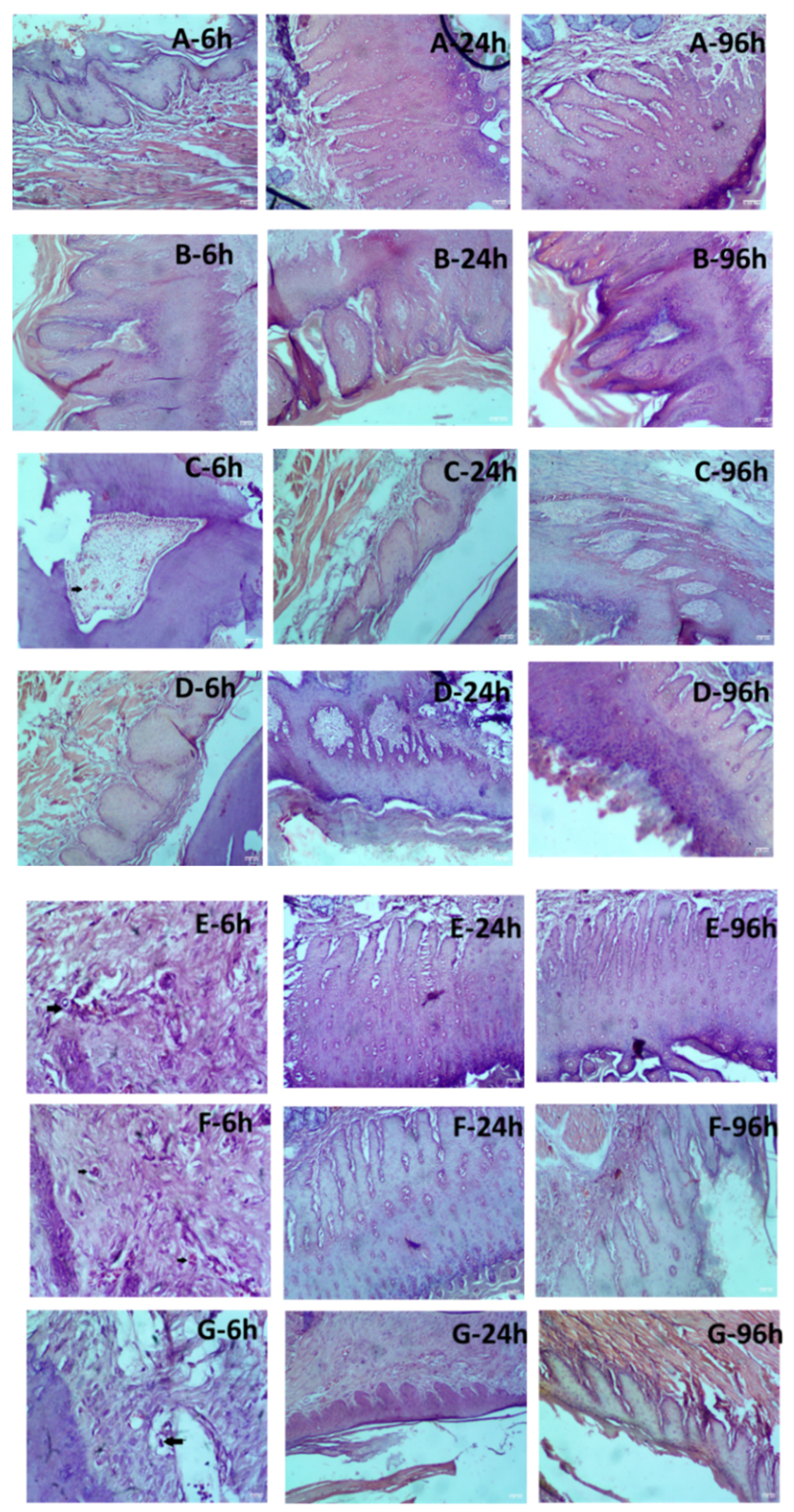 Preprints 112825 g004