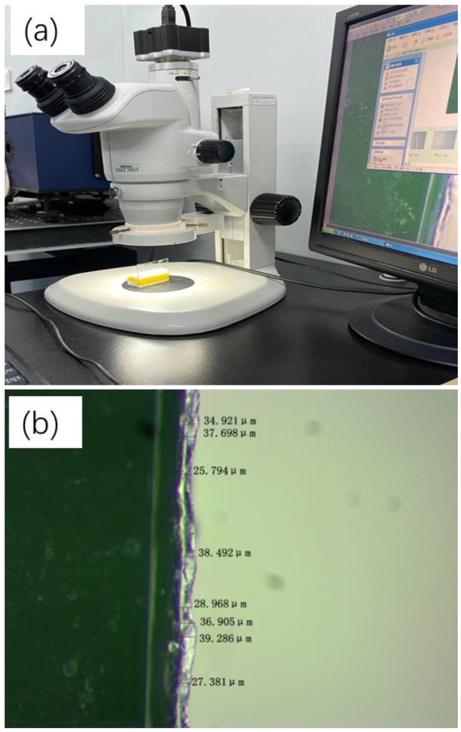 Preprints 109583 g005