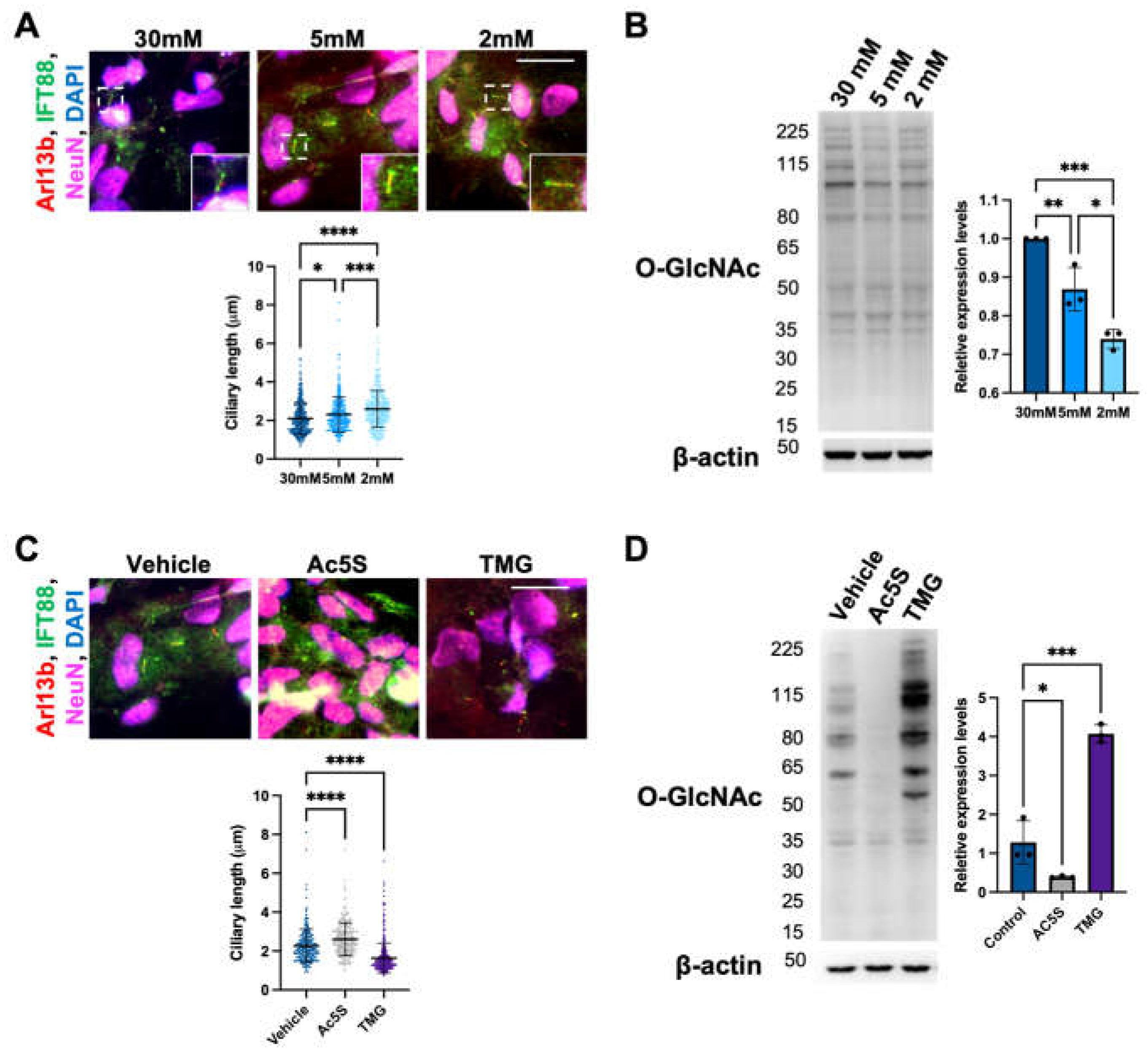 Preprints 70947 g001