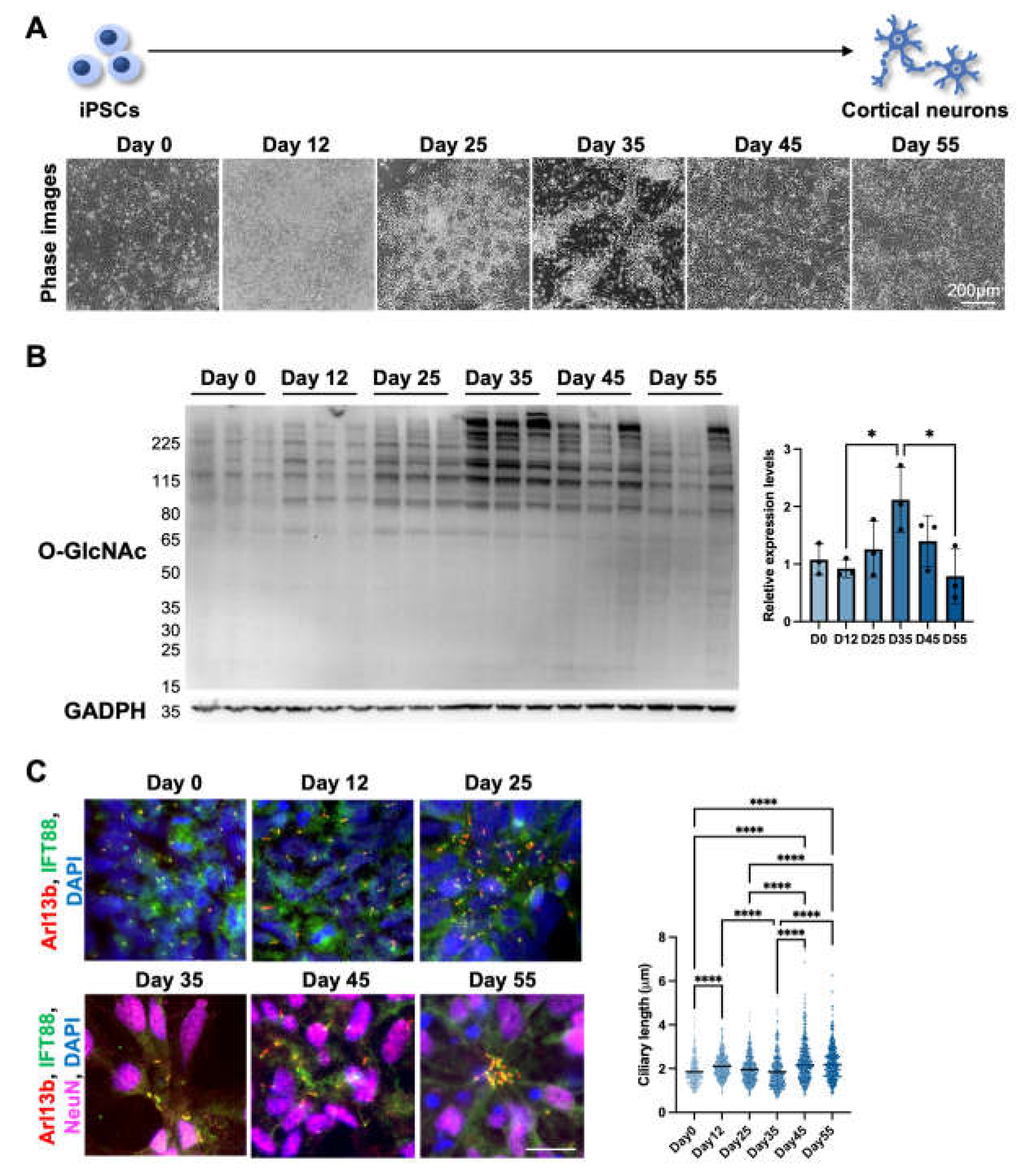 Preprints 70947 g002