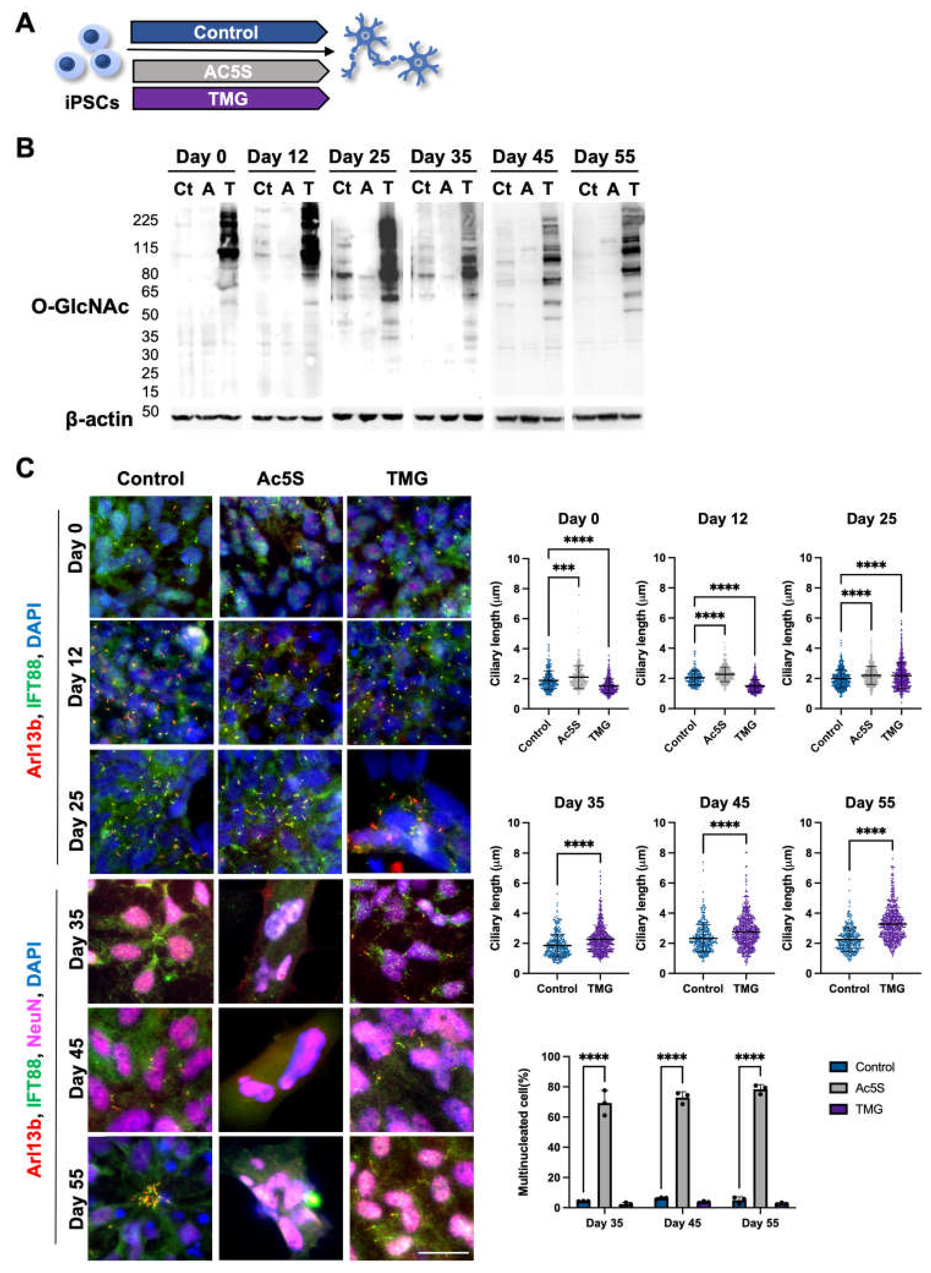 Preprints 70947 g003