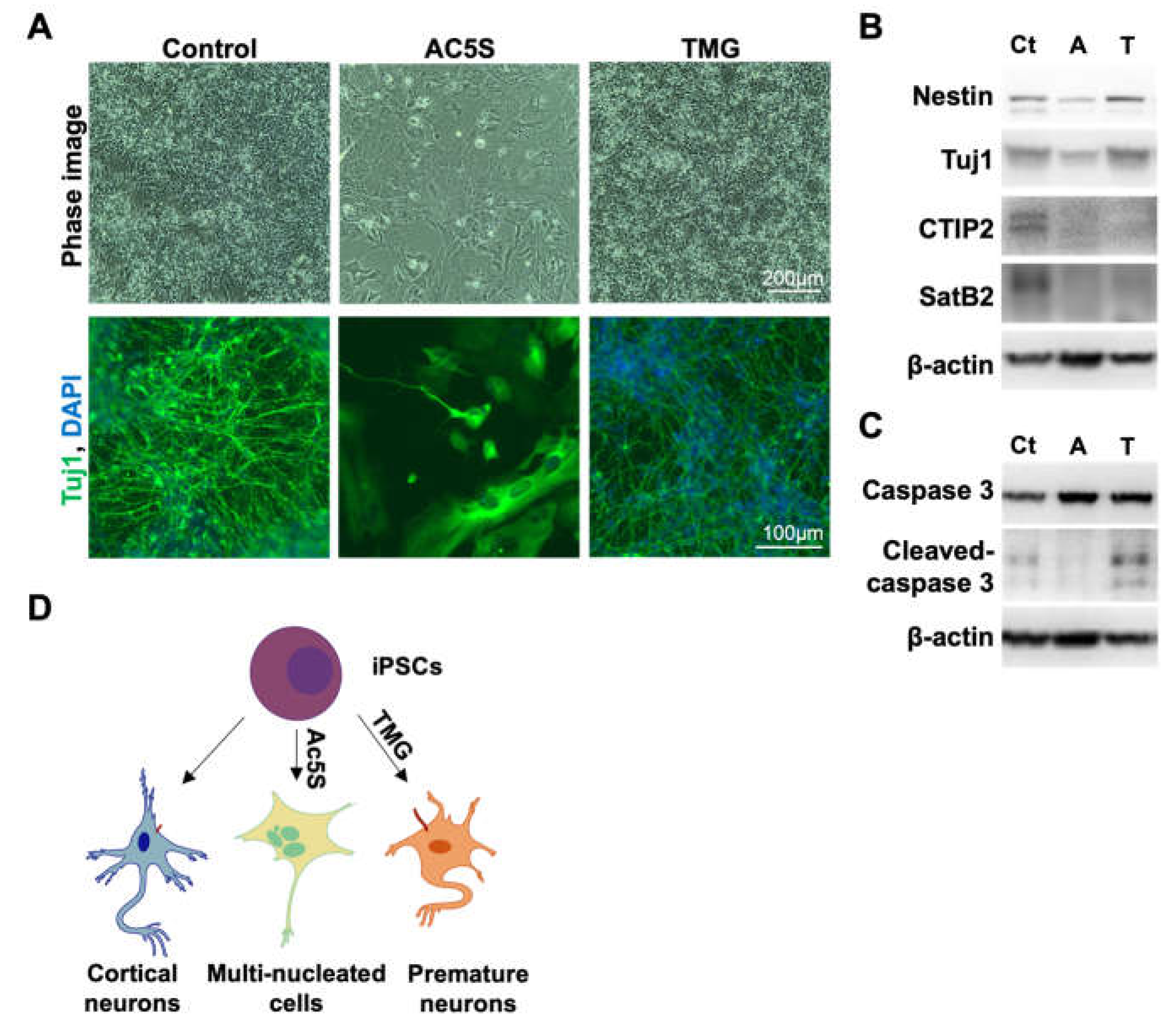 Preprints 70947 g004