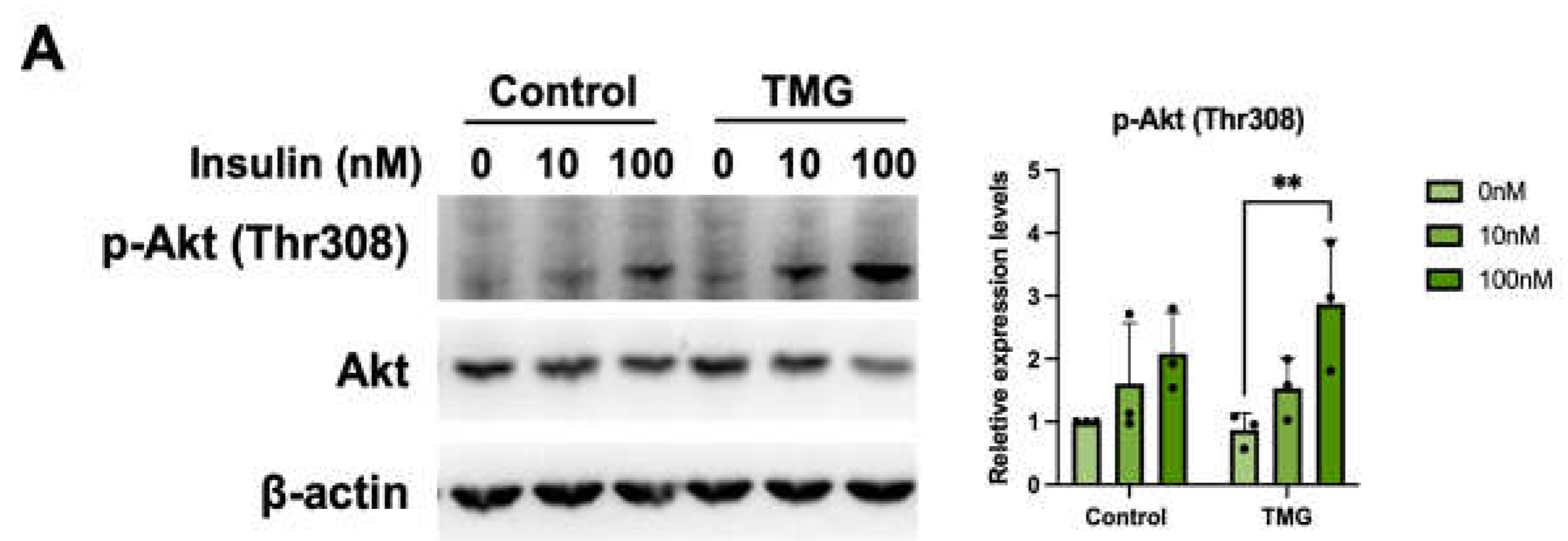 Preprints 70947 g005