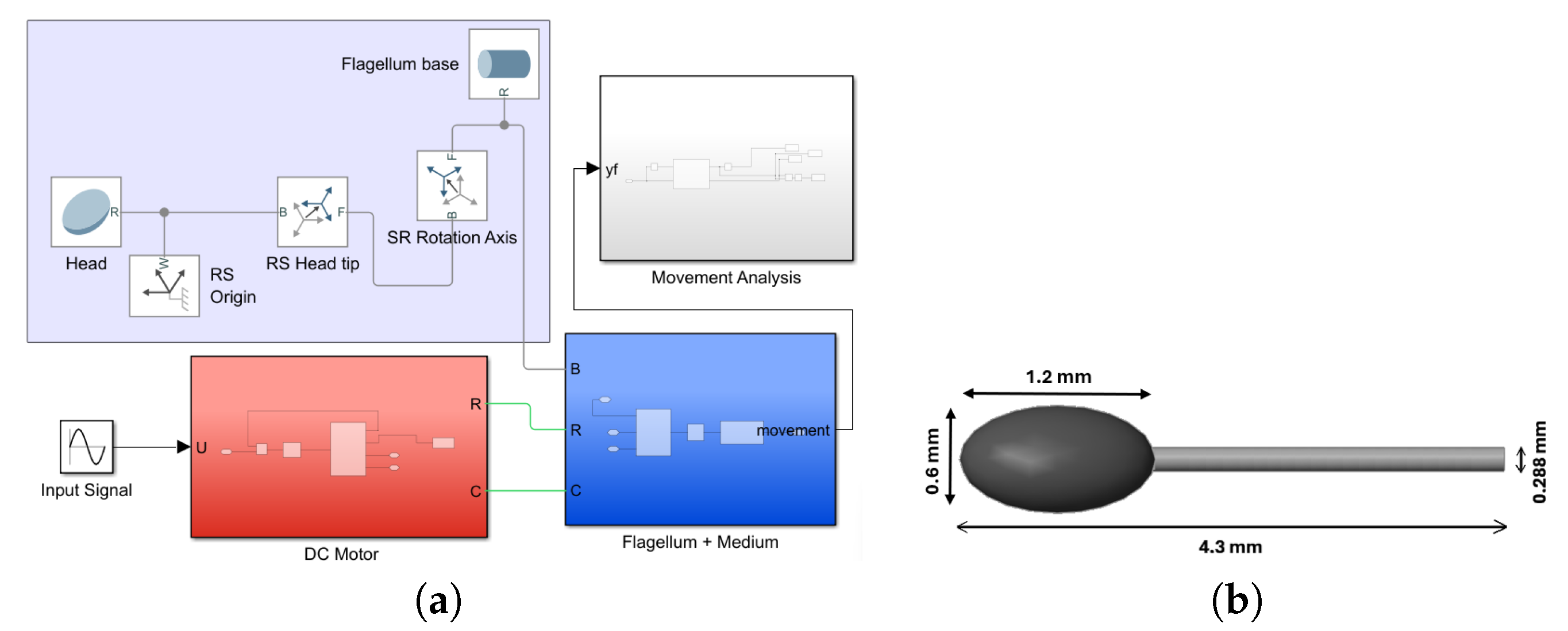 Preprints 117134 g003