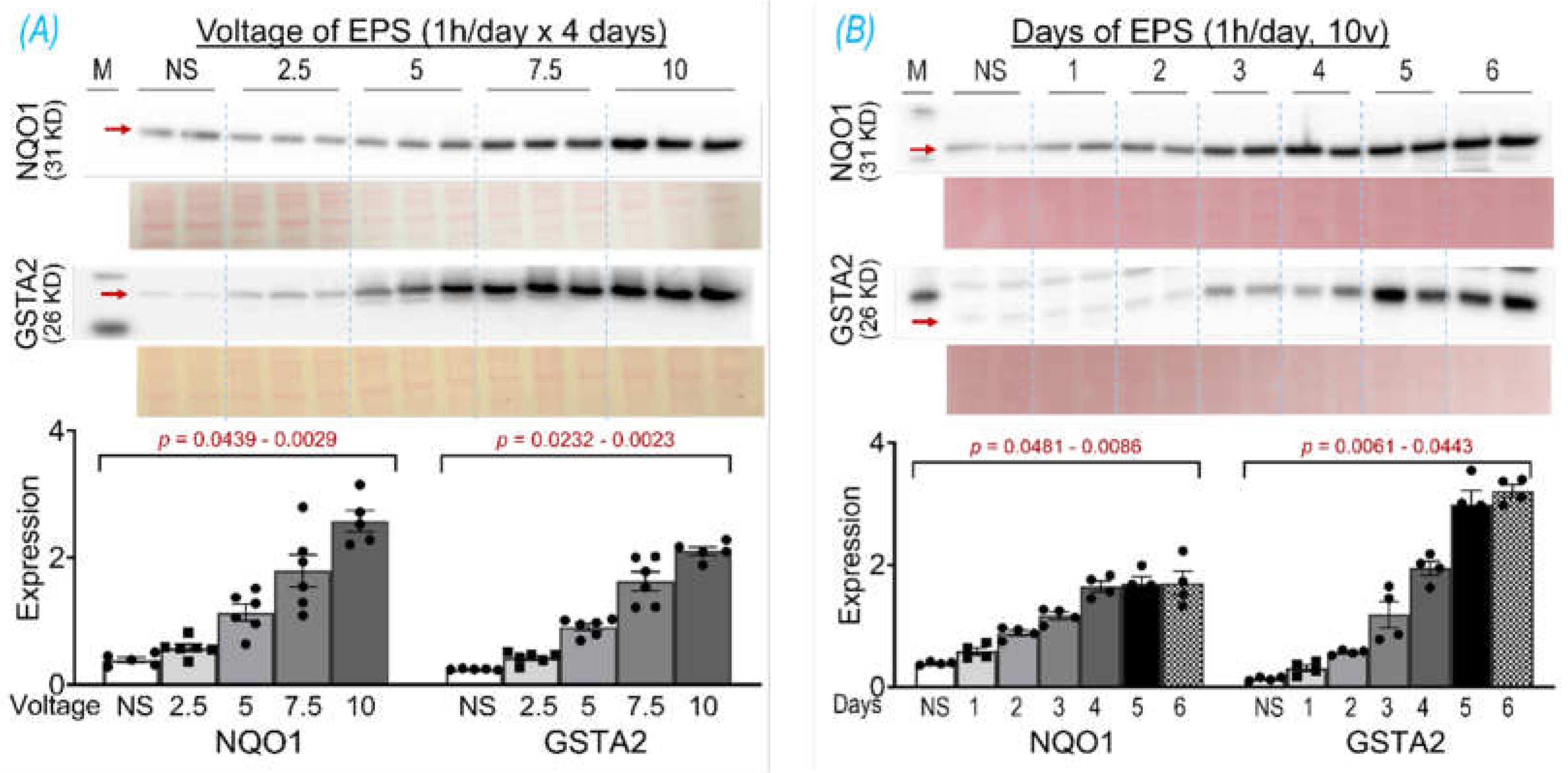 Preprints 106441 g001