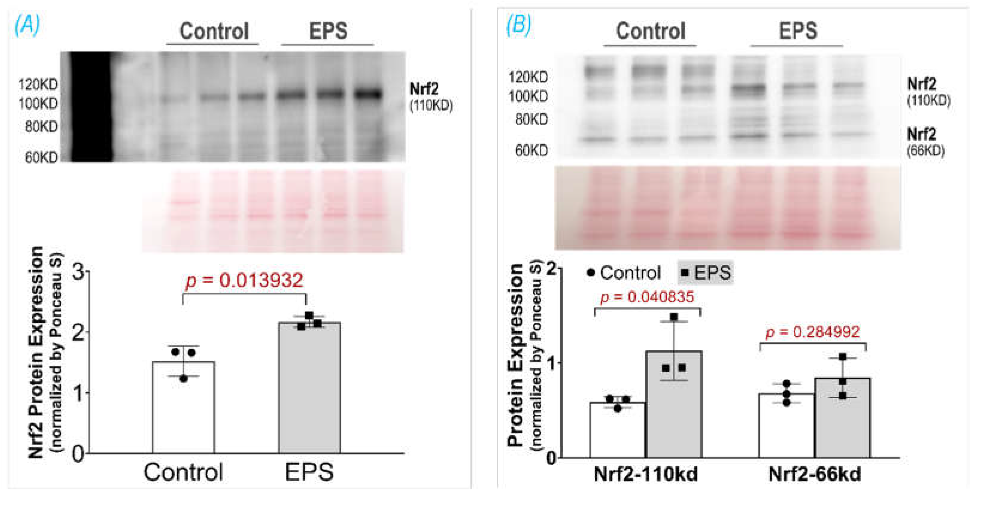 Preprints 106441 g002