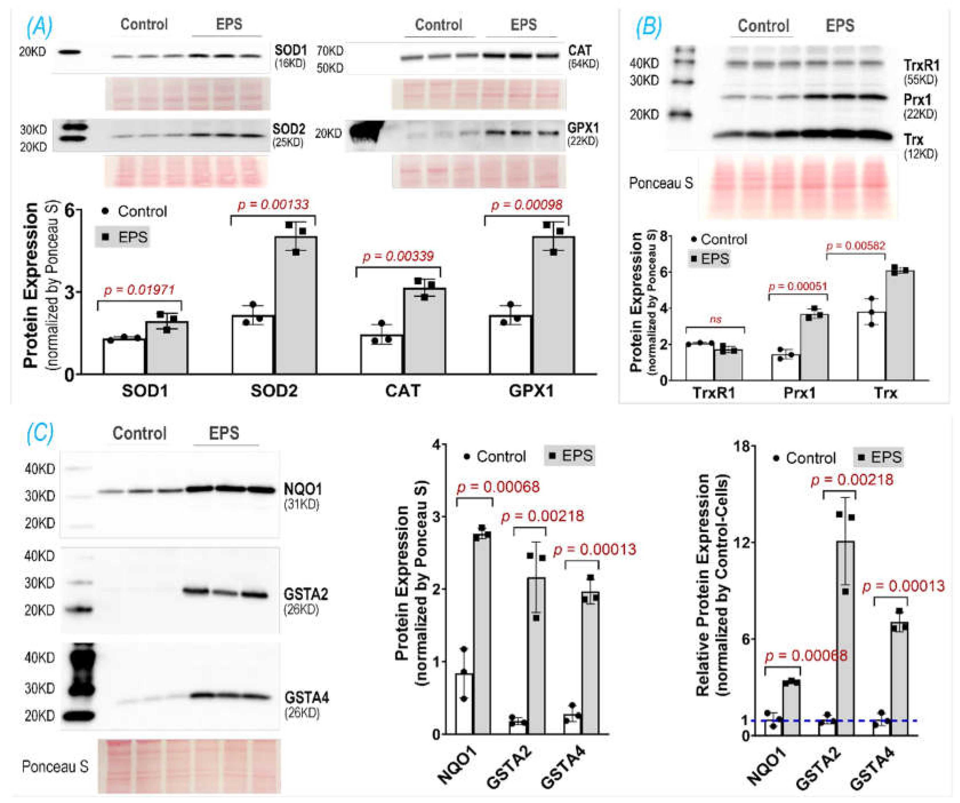 Preprints 106441 g003