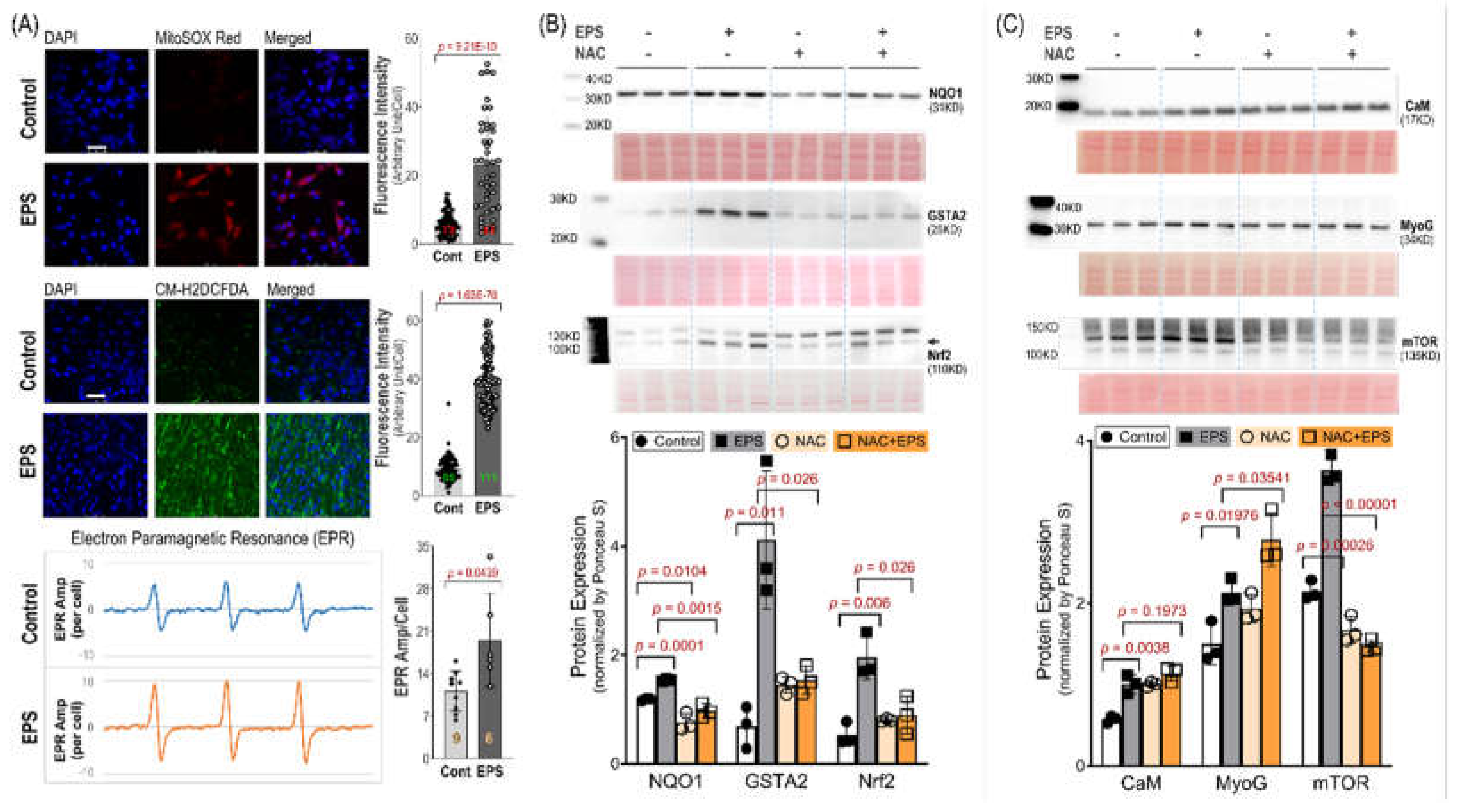 Preprints 106441 g004