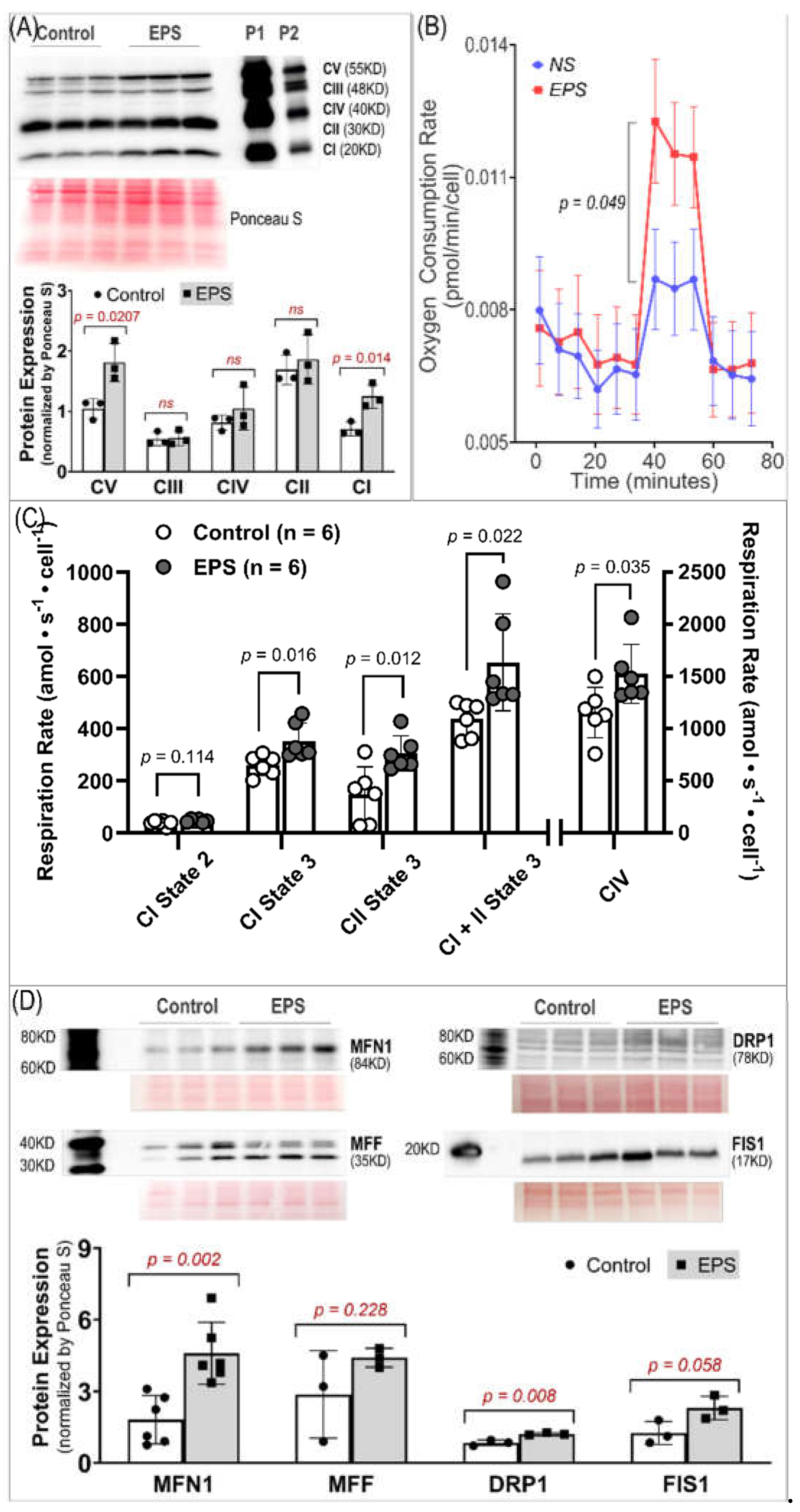 Preprints 106441 g005