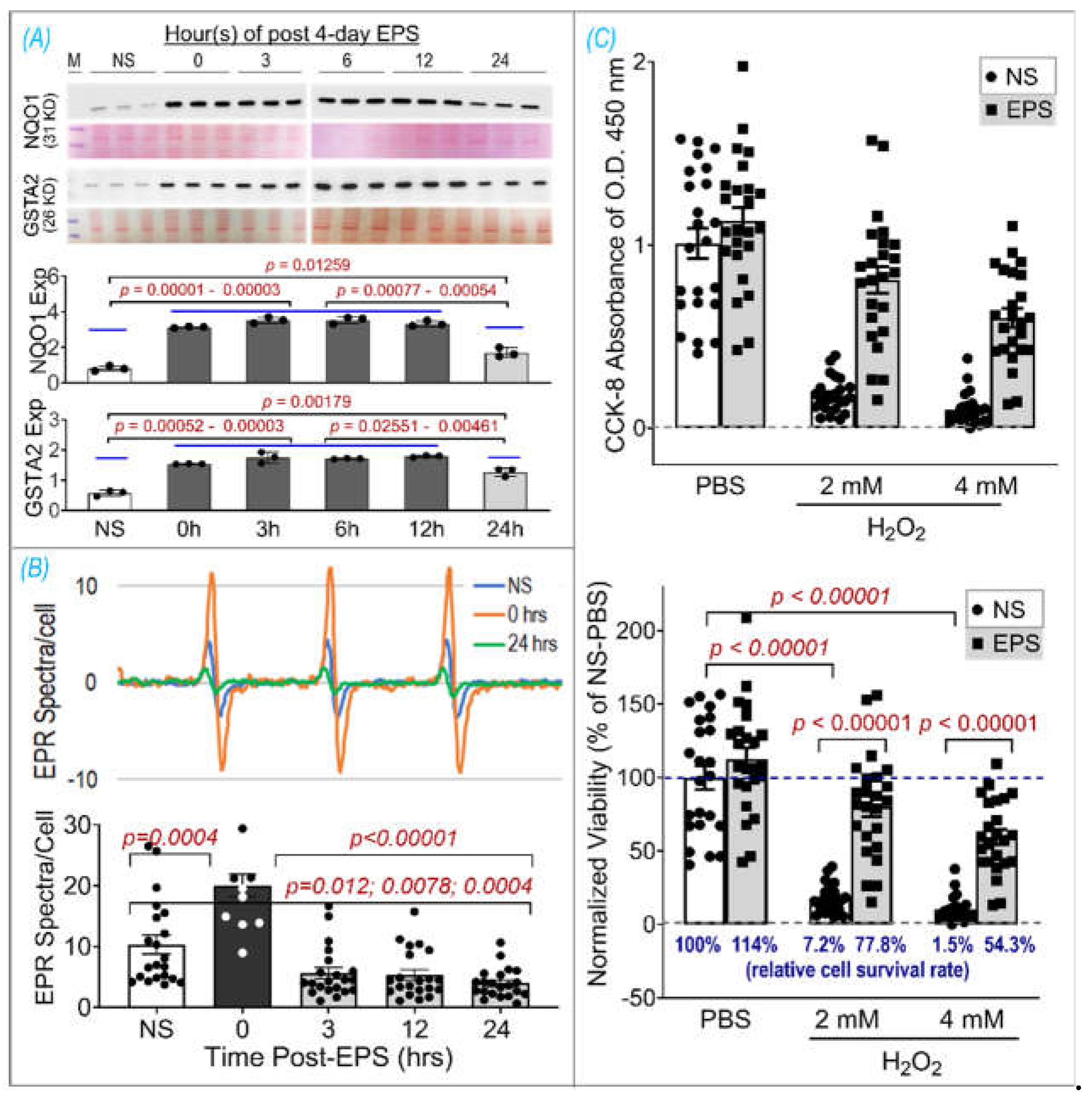 Preprints 106441 g006