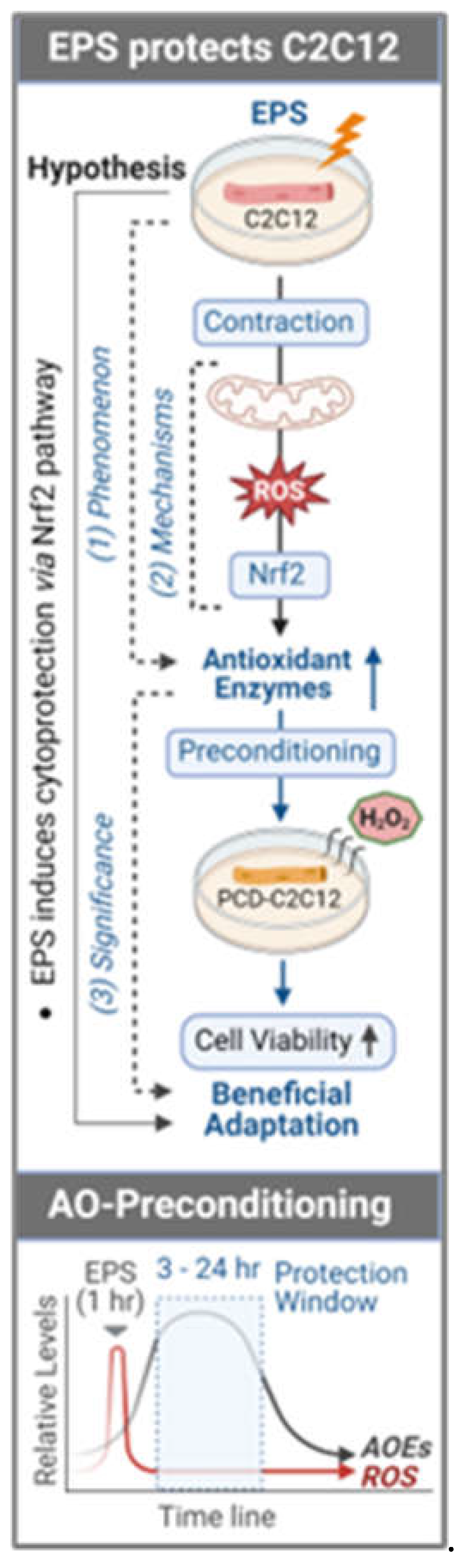 Preprints 106441 g007