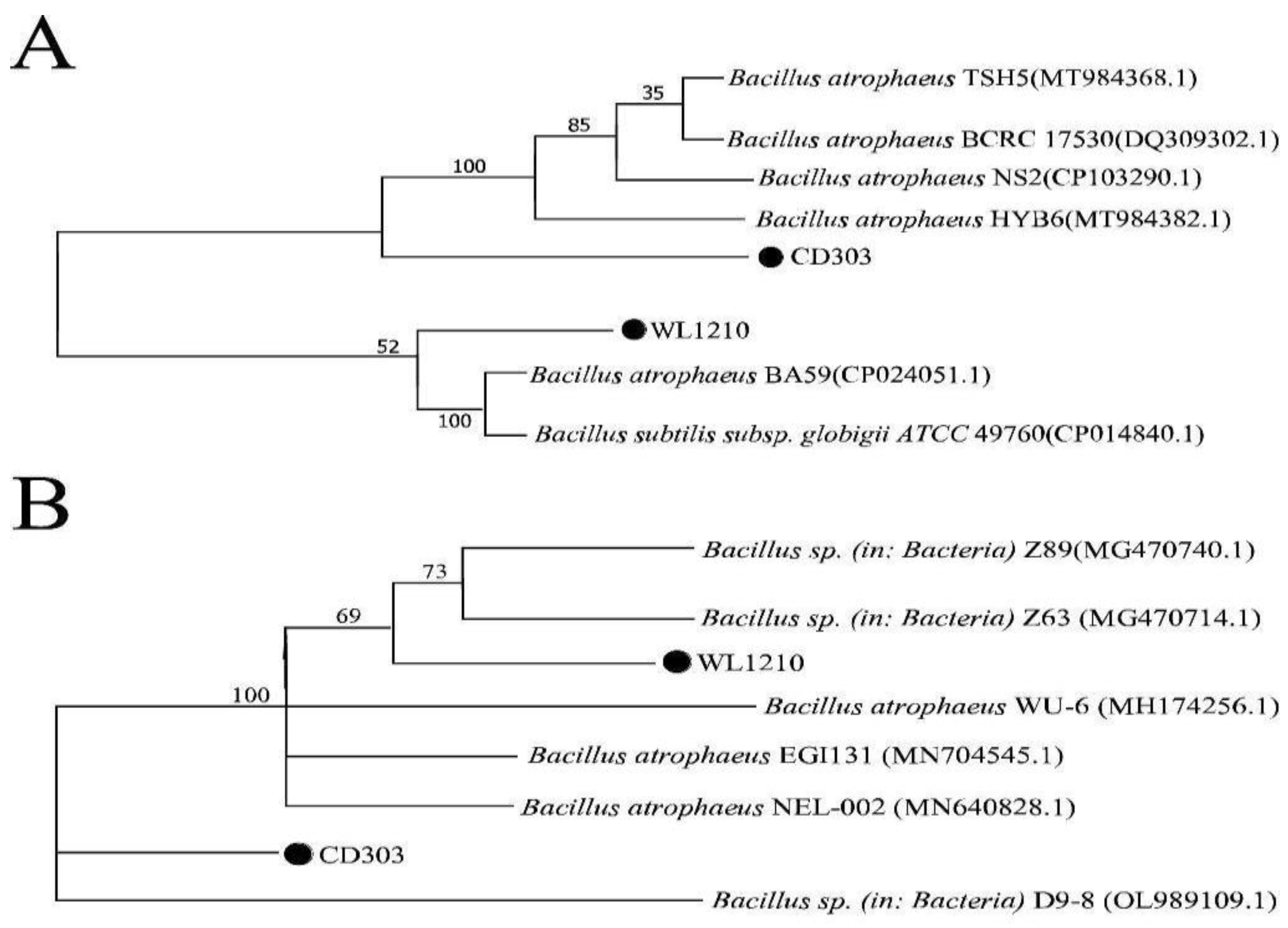 Preprints 97846 g001