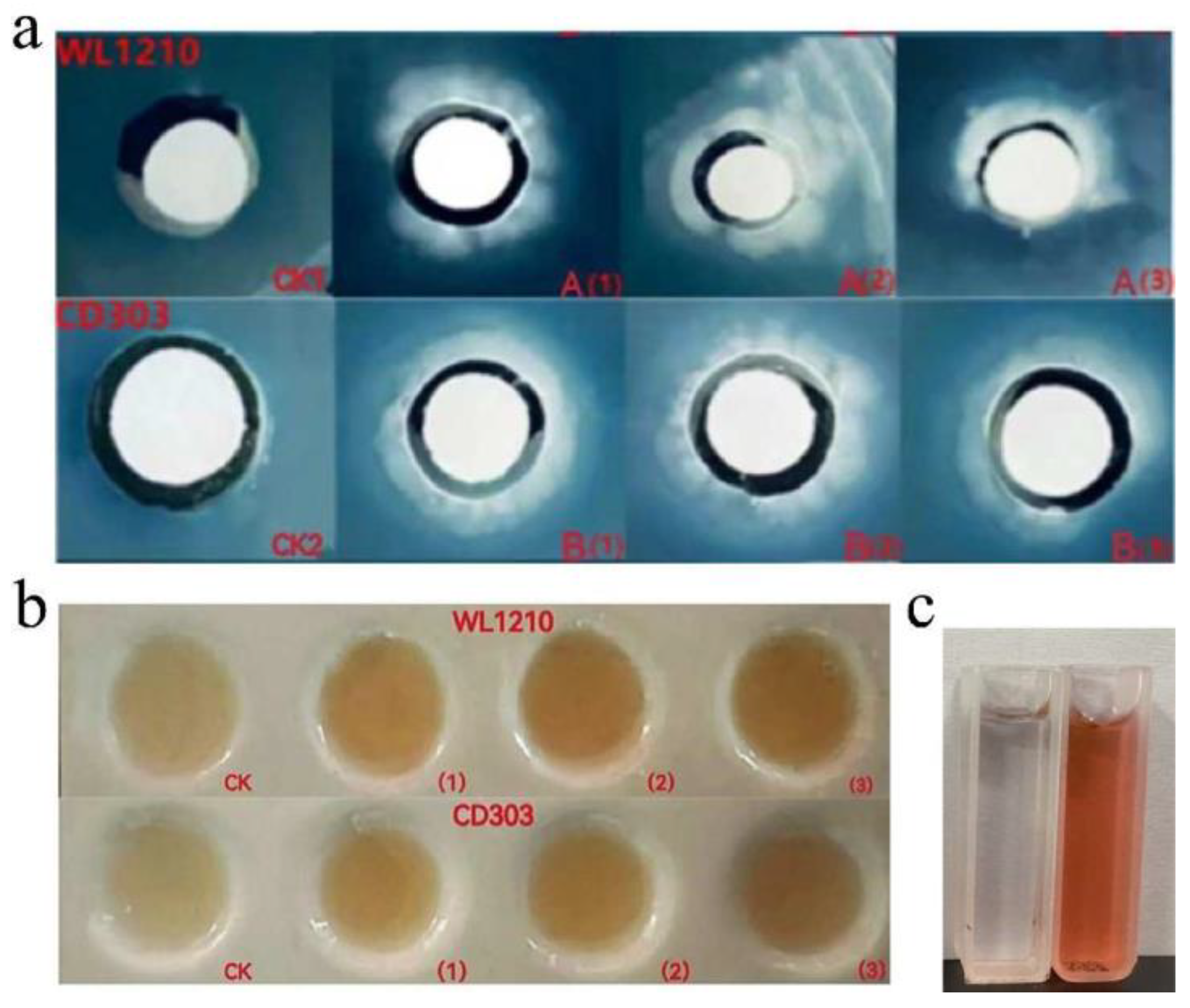 Preprints 97846 g003