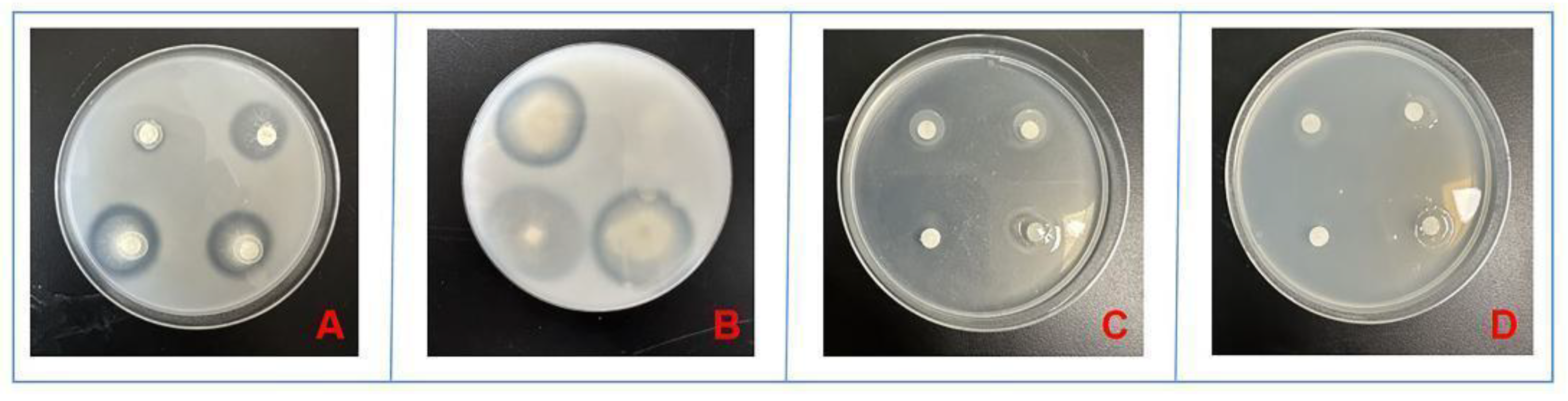 Preprints 97846 g004