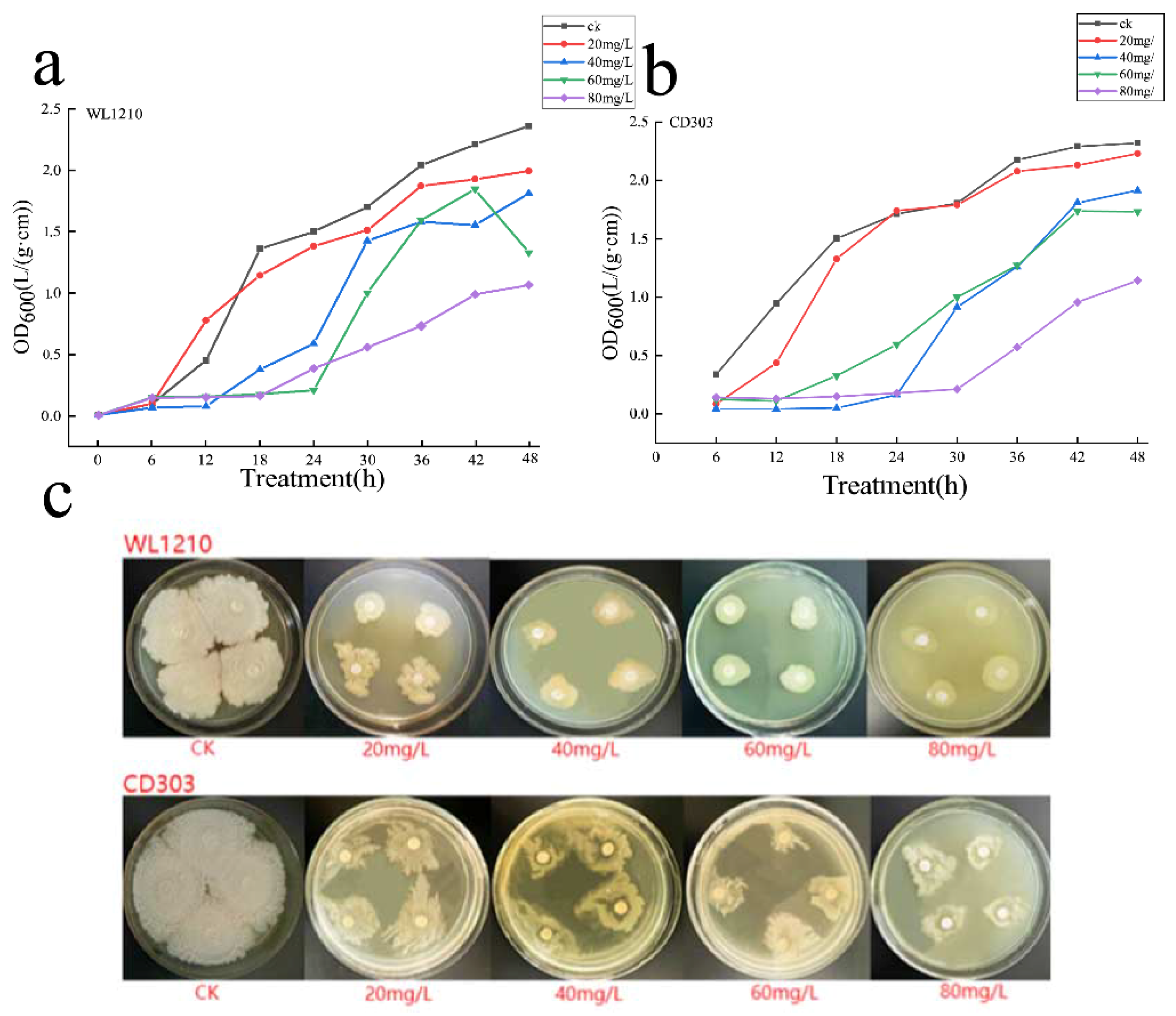 Preprints 97846 g005