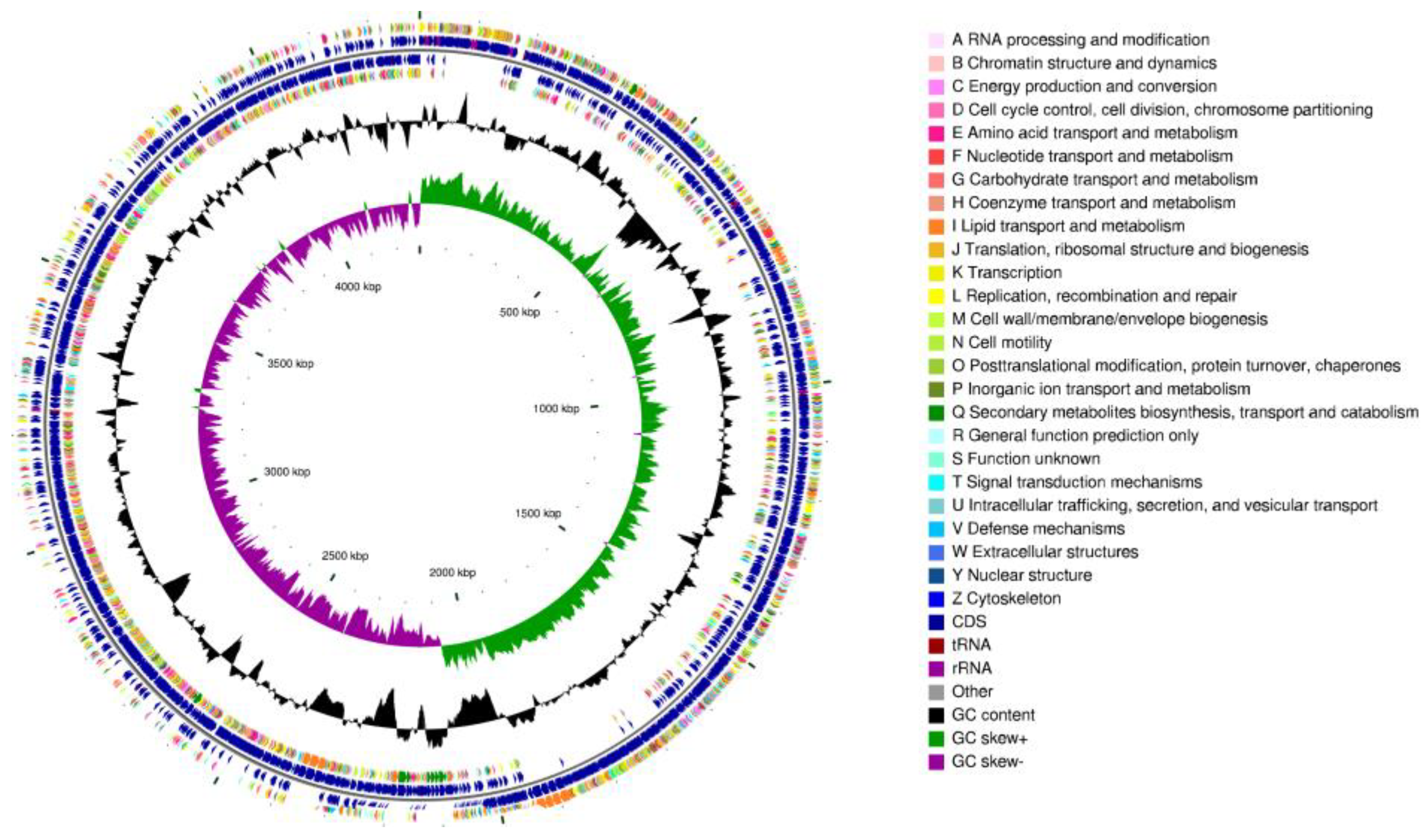 Preprints 97846 g008