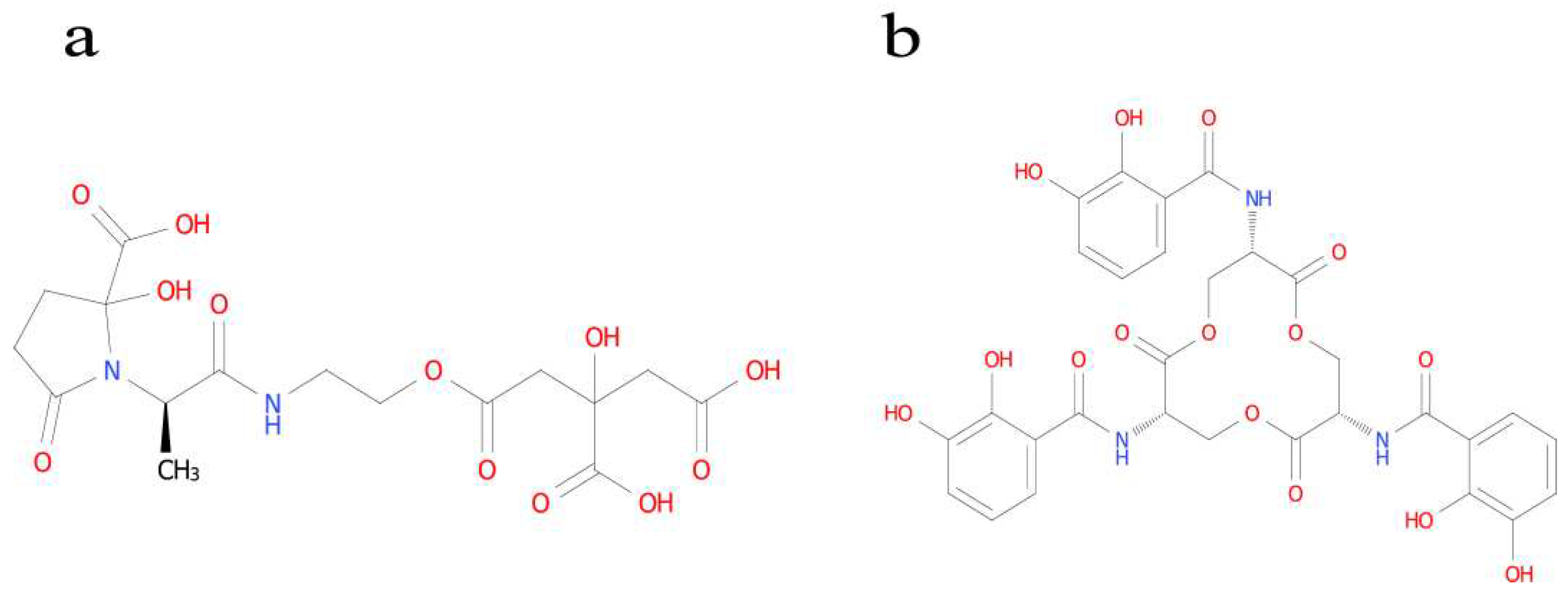 Preprints 97846 g011