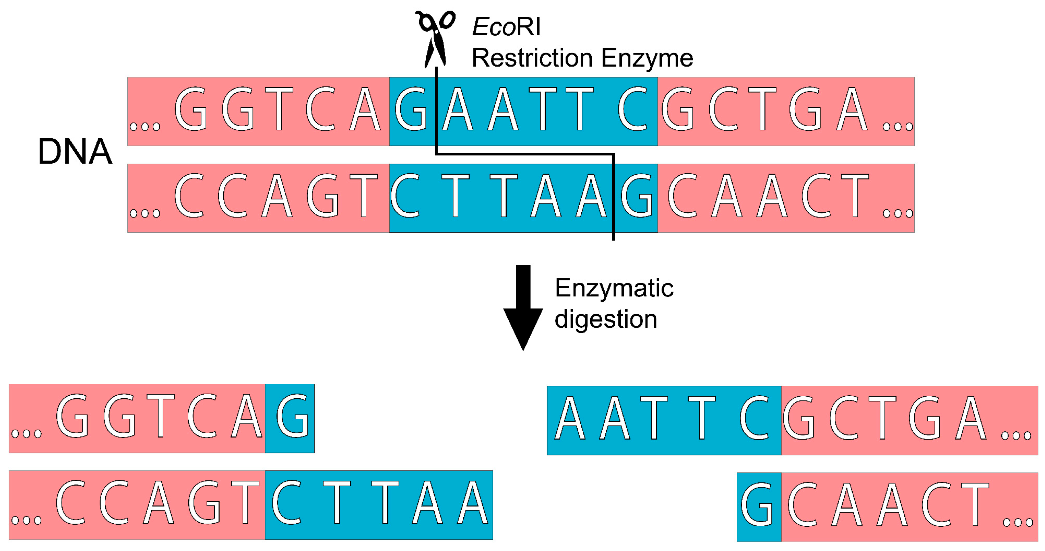 Preprints 74712 g002