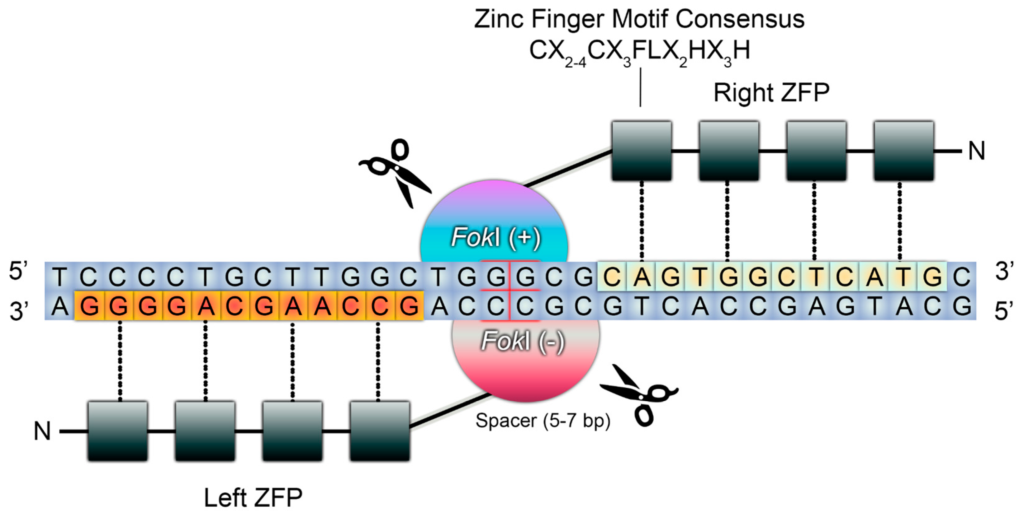 Preprints 74712 g003