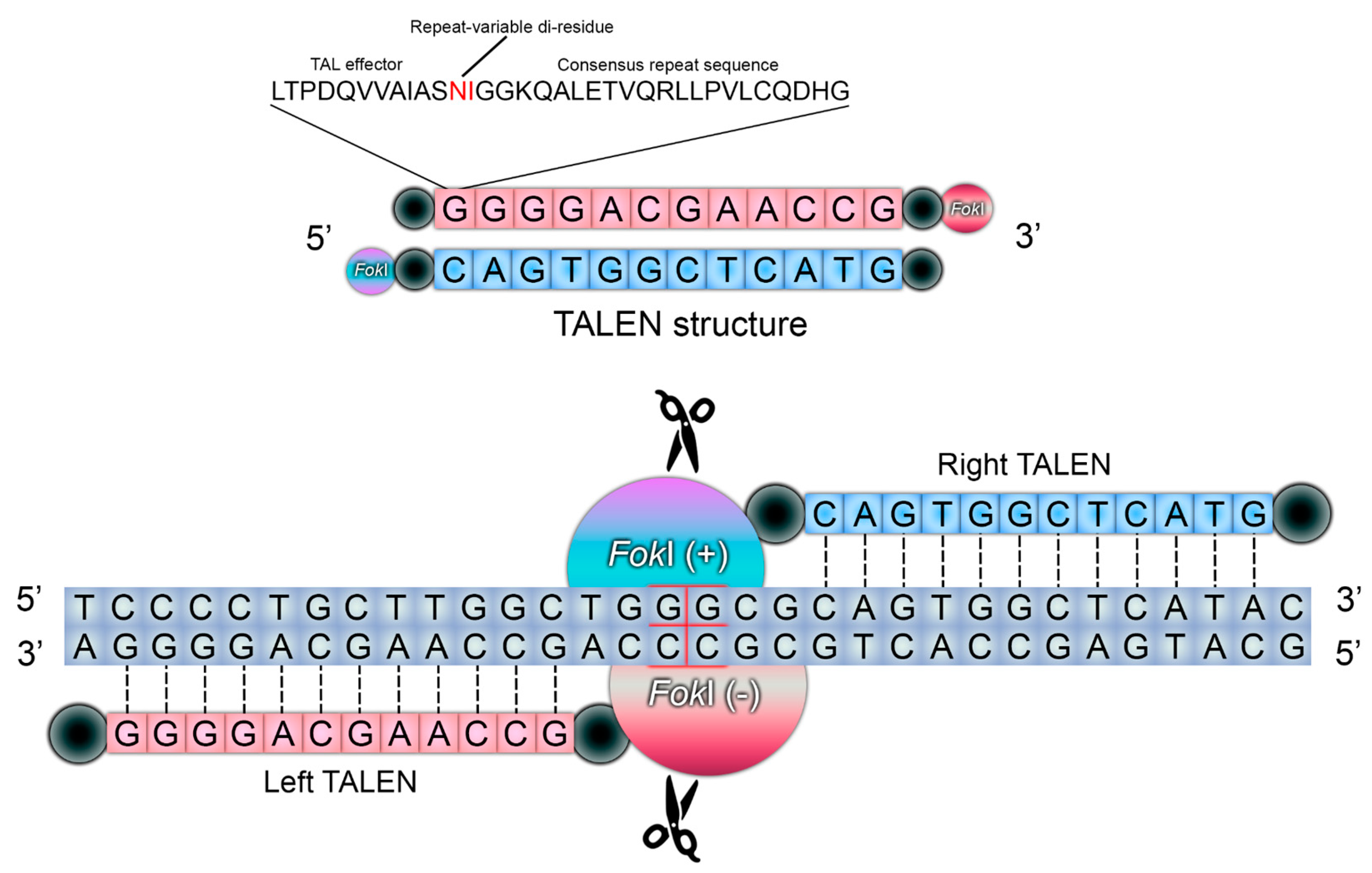 Preprints 74712 g004