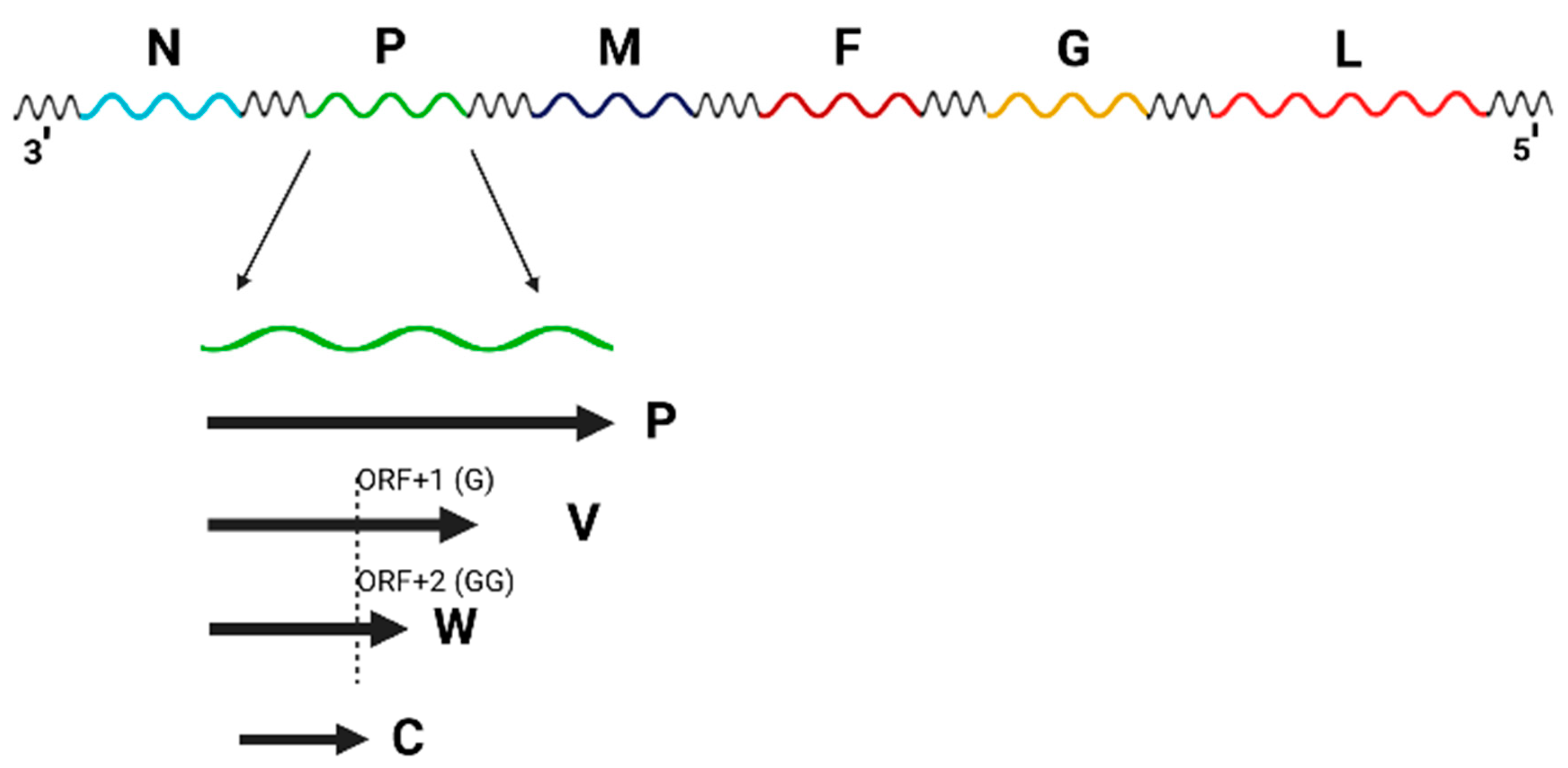 Preprints 82419 g001