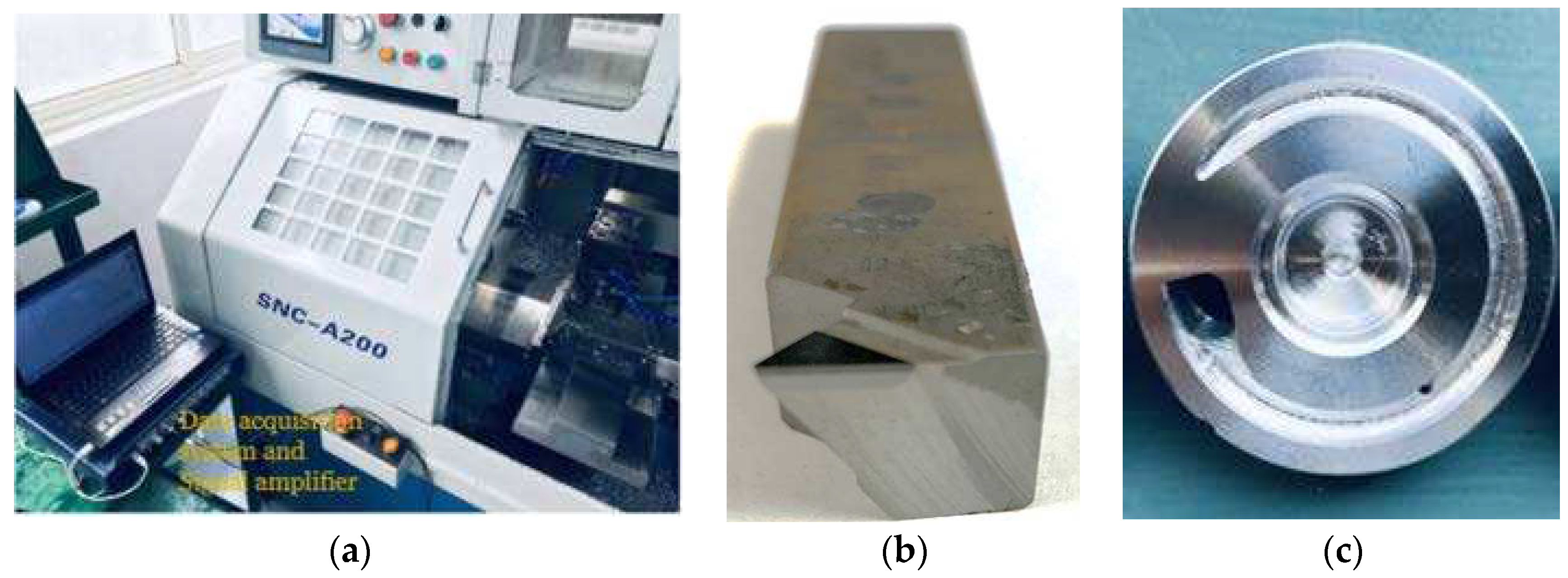 Preprints 98450 g002