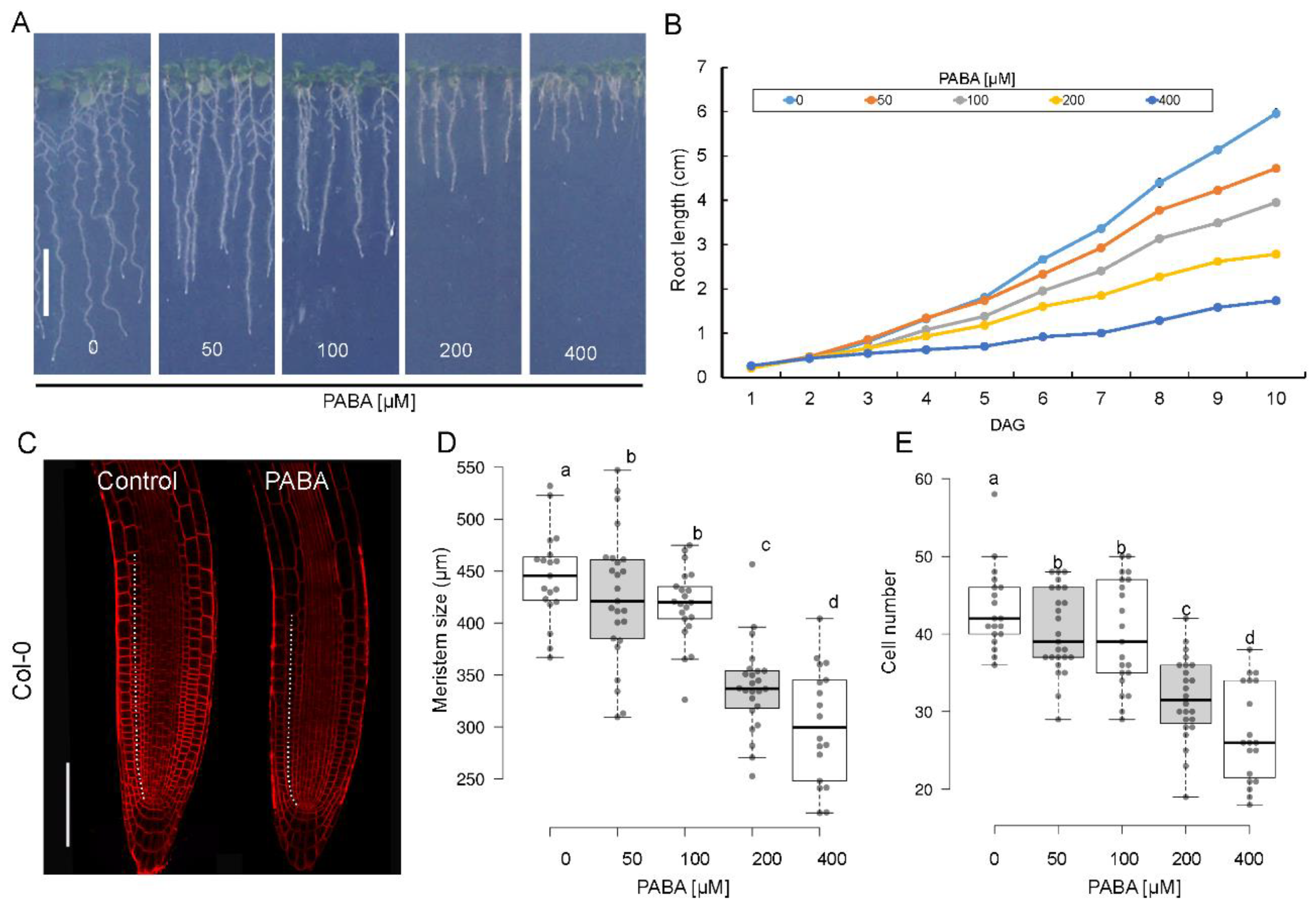 Preprints 88034 g001