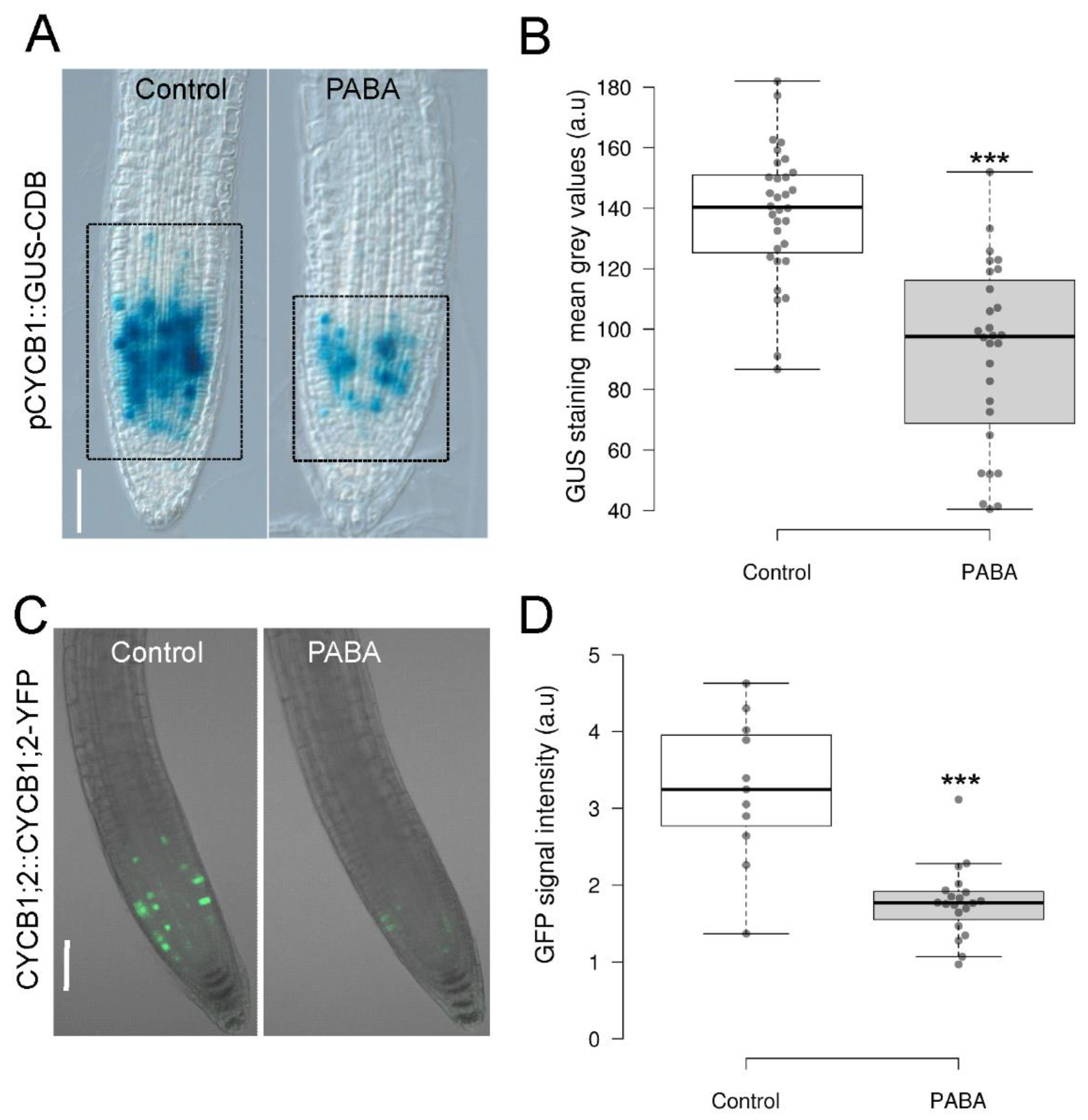 Preprints 88034 g002