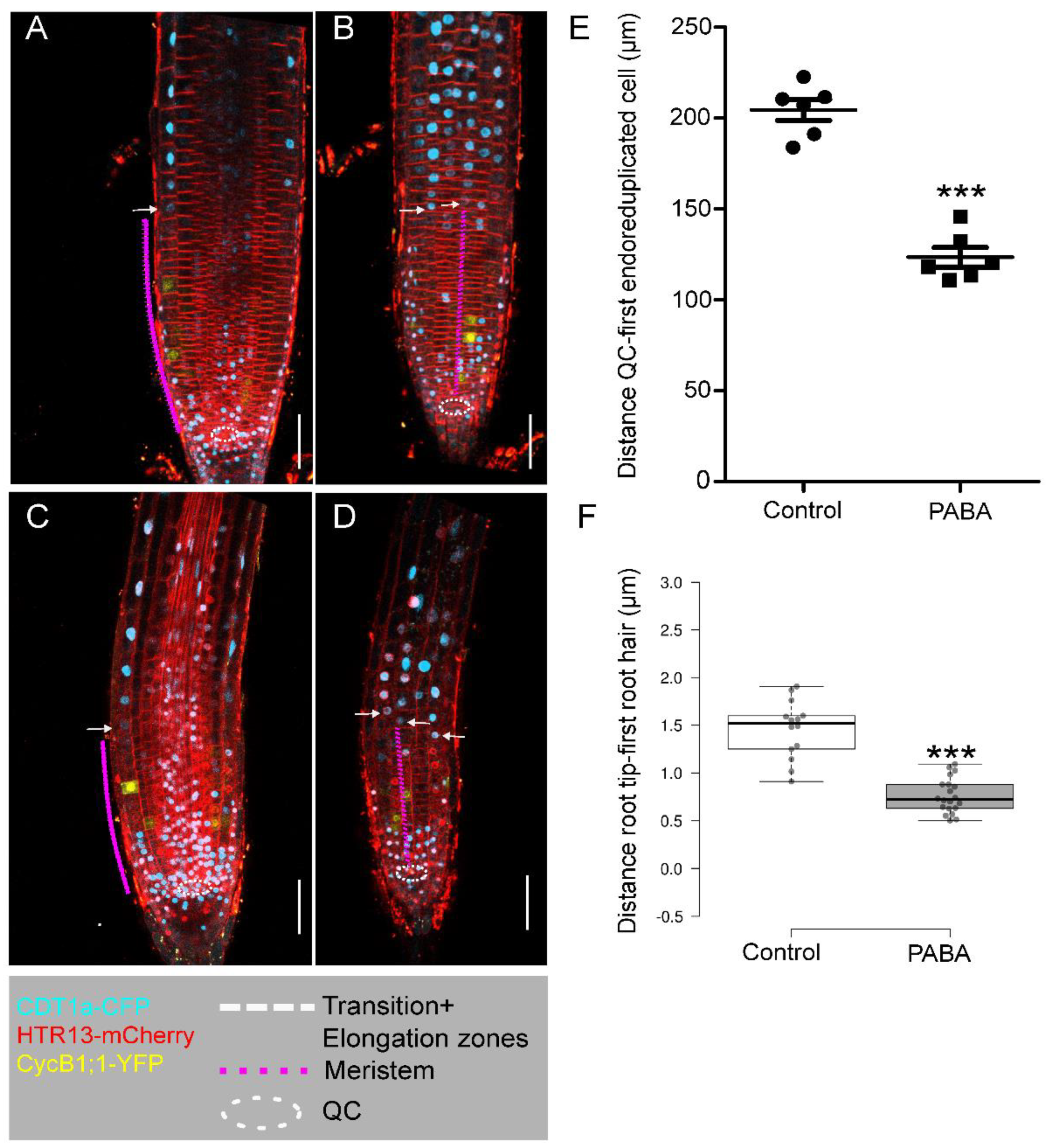 Preprints 88034 g003