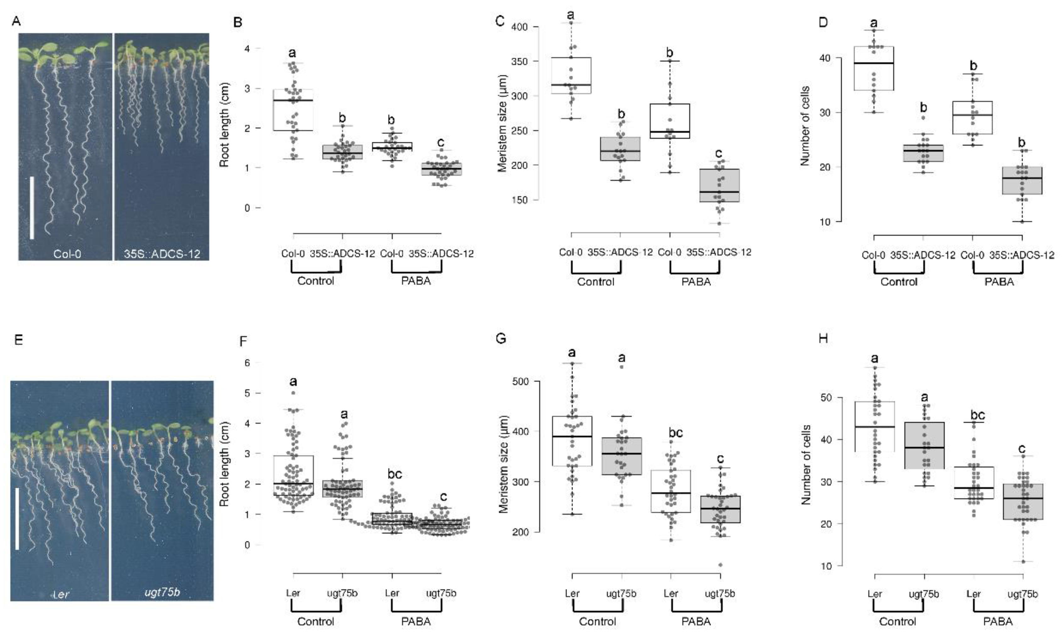 Preprints 88034 g004