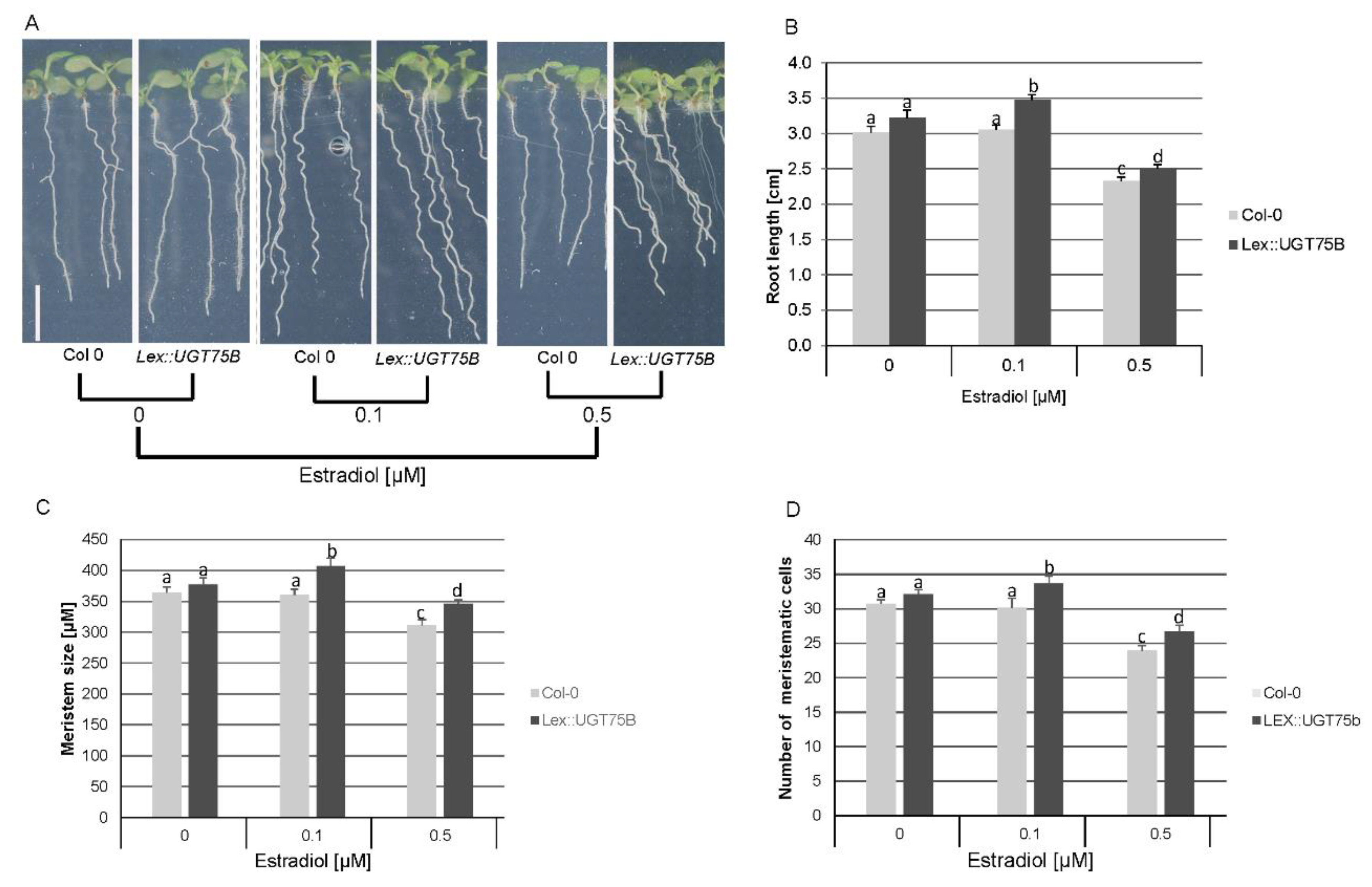 Preprints 88034 g005