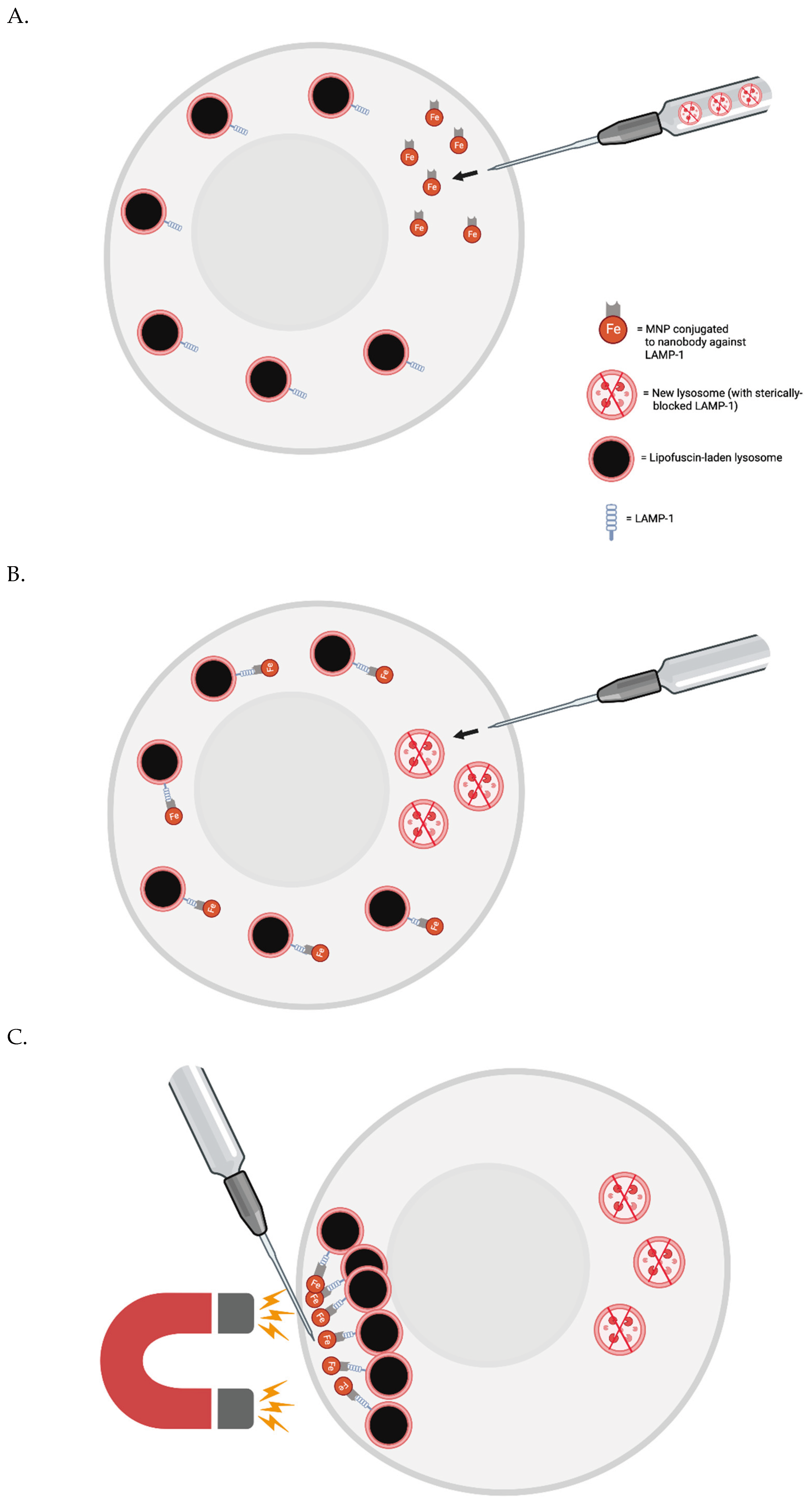 Preprints 103092 g001a