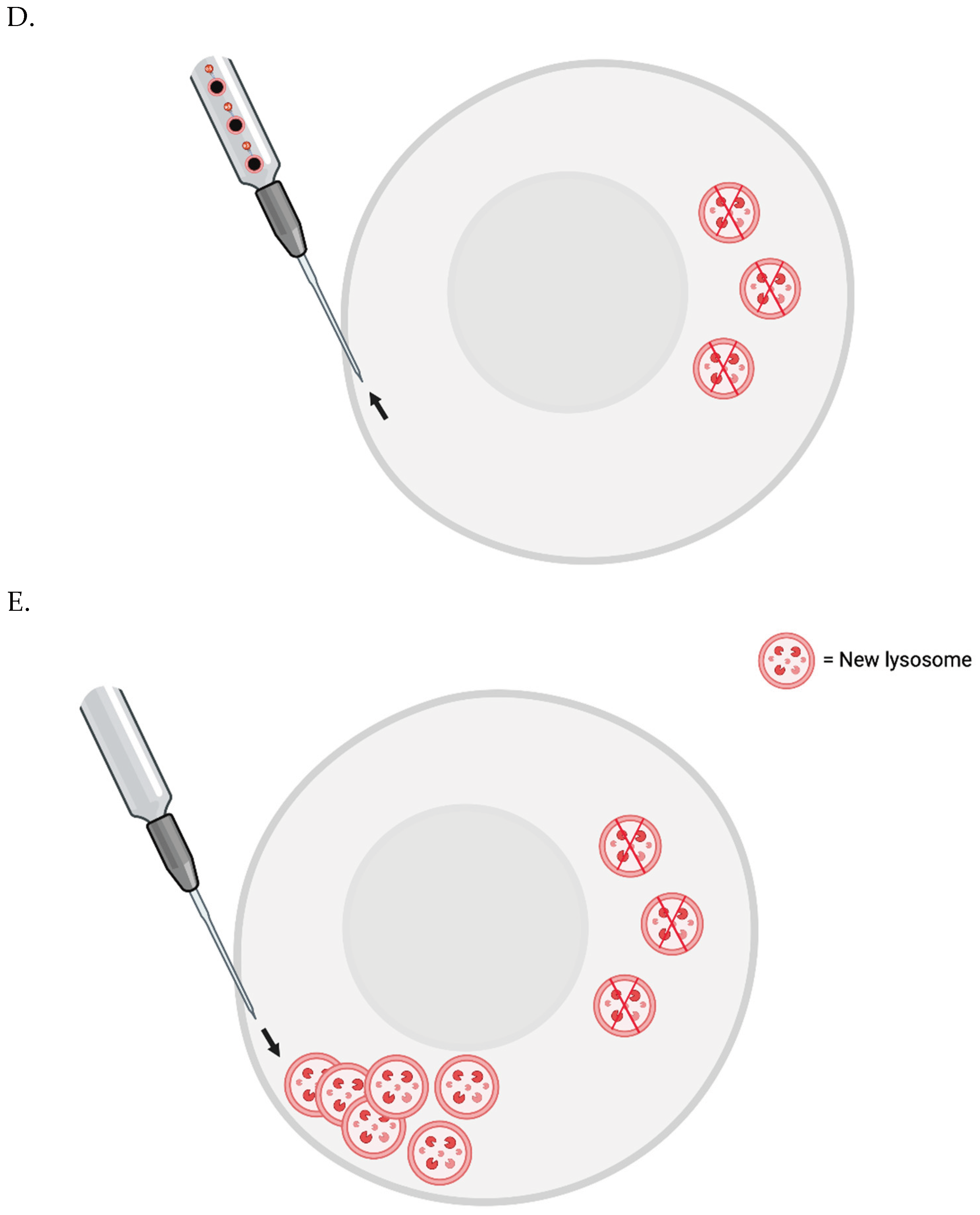 Preprints 103092 g001b