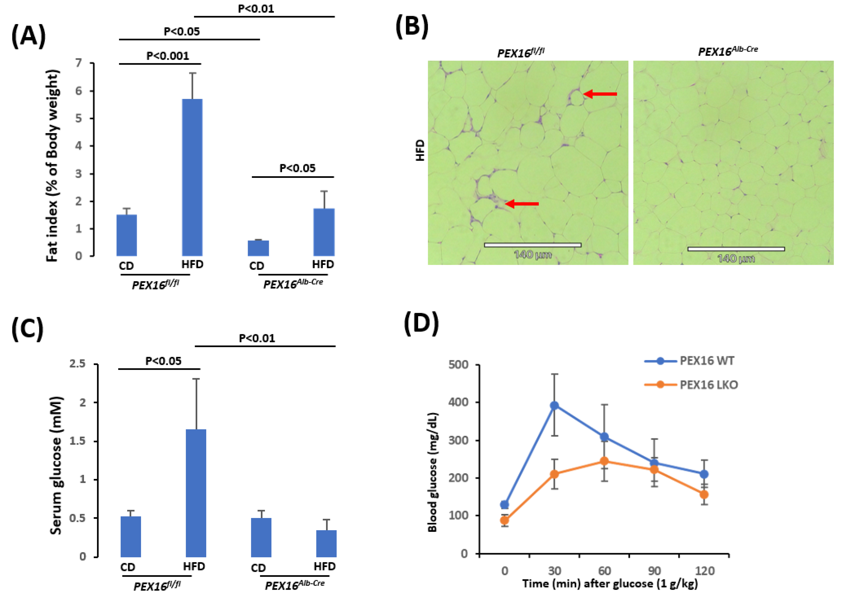 Preprints 101496 g002