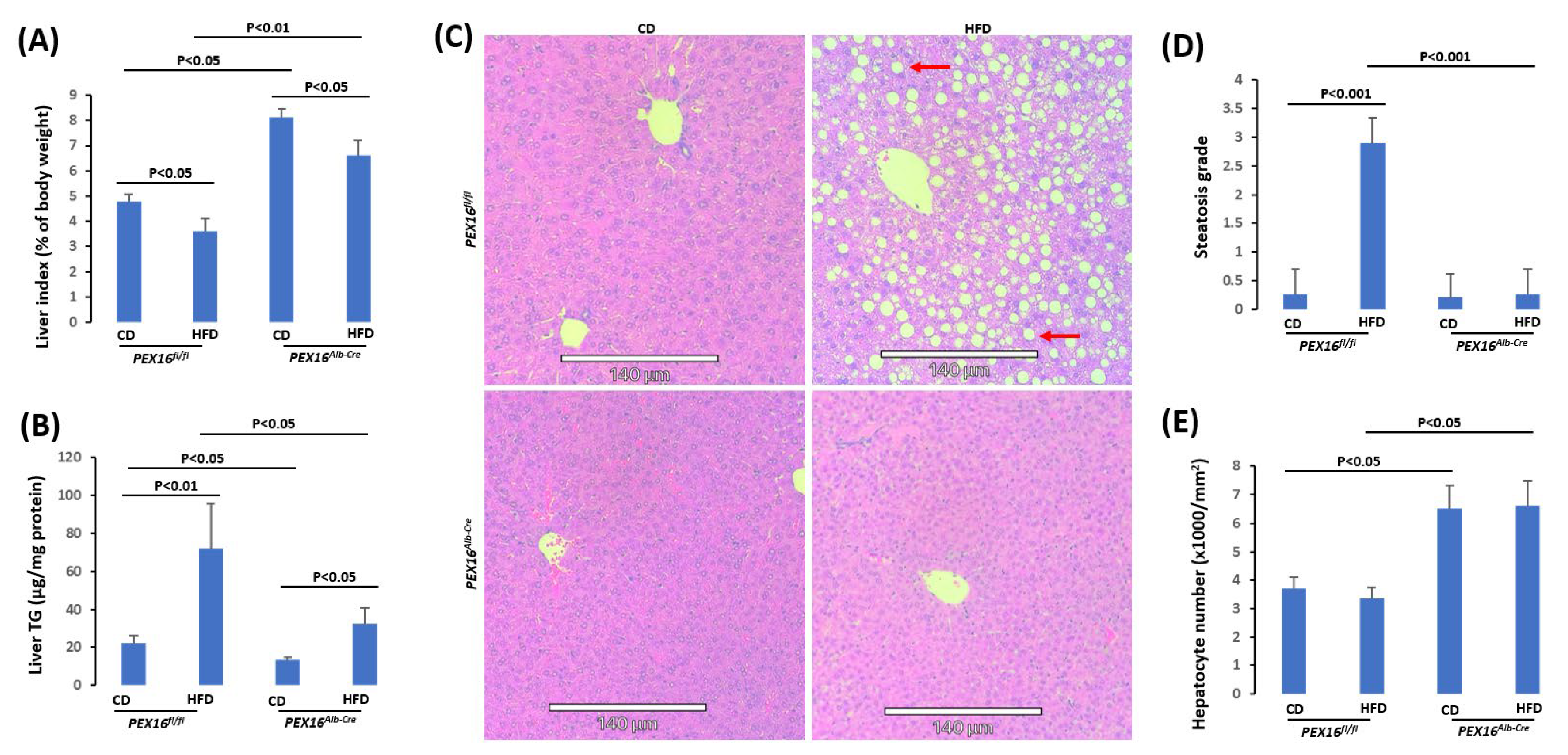 Preprints 101496 g003