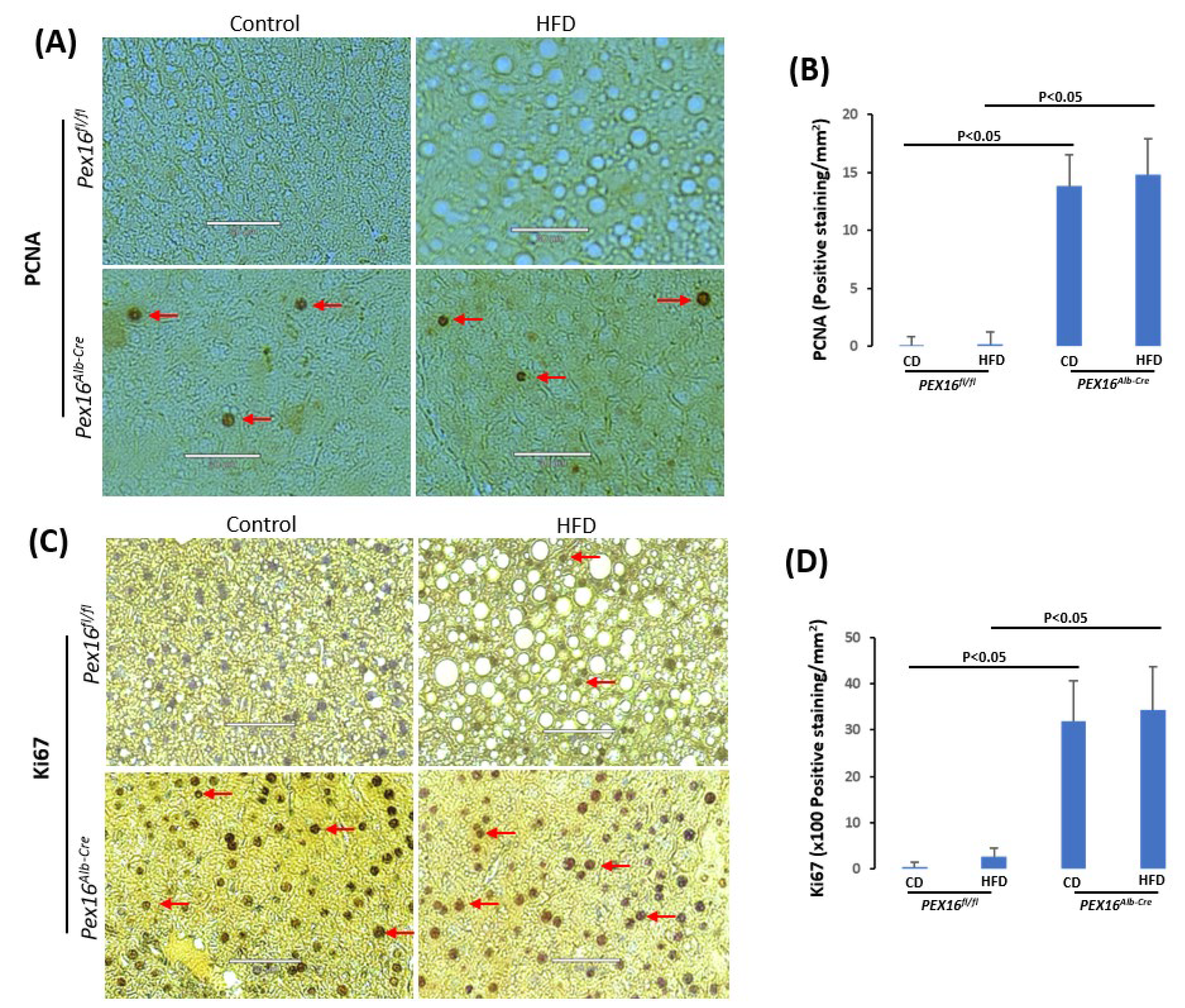 Preprints 101496 g004