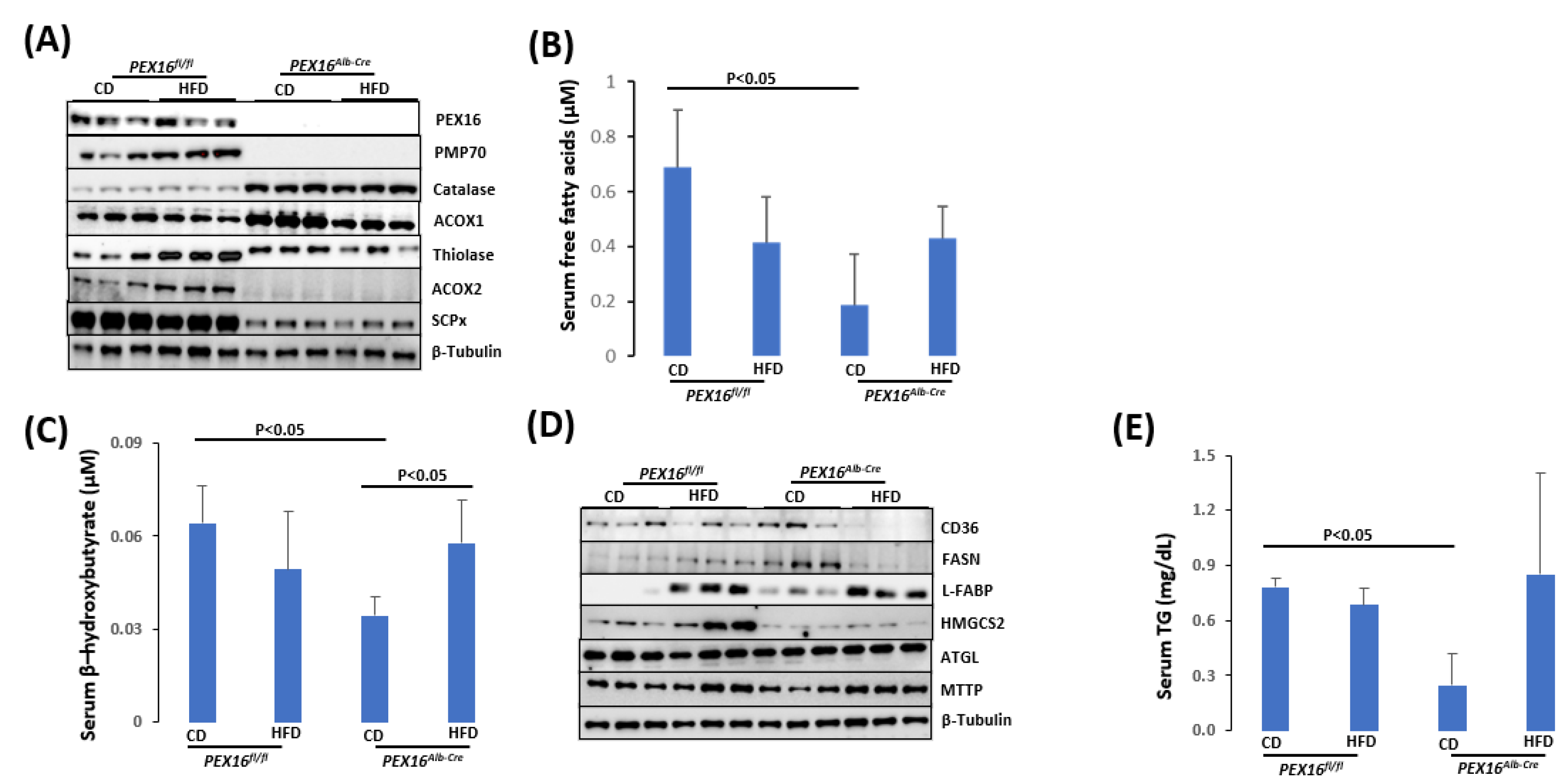 Preprints 101496 g005